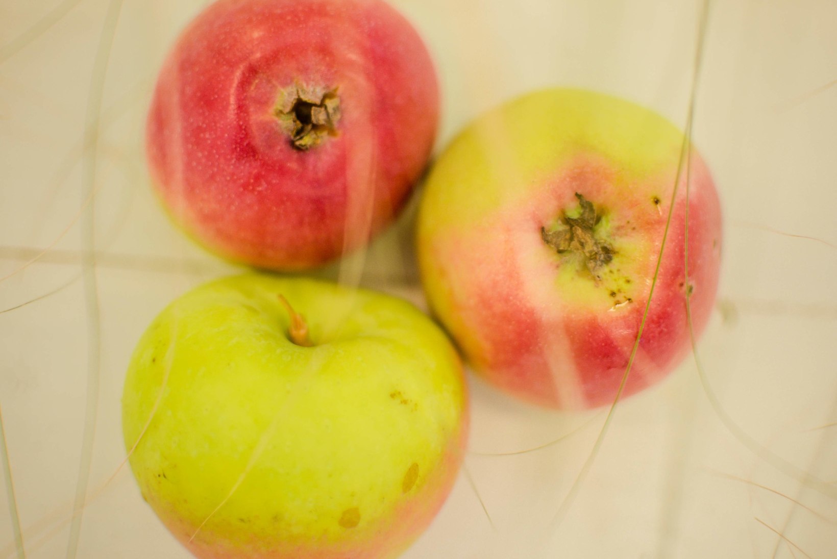 Õunad: sügisel põhiline koogi- ja moosimaterjal 