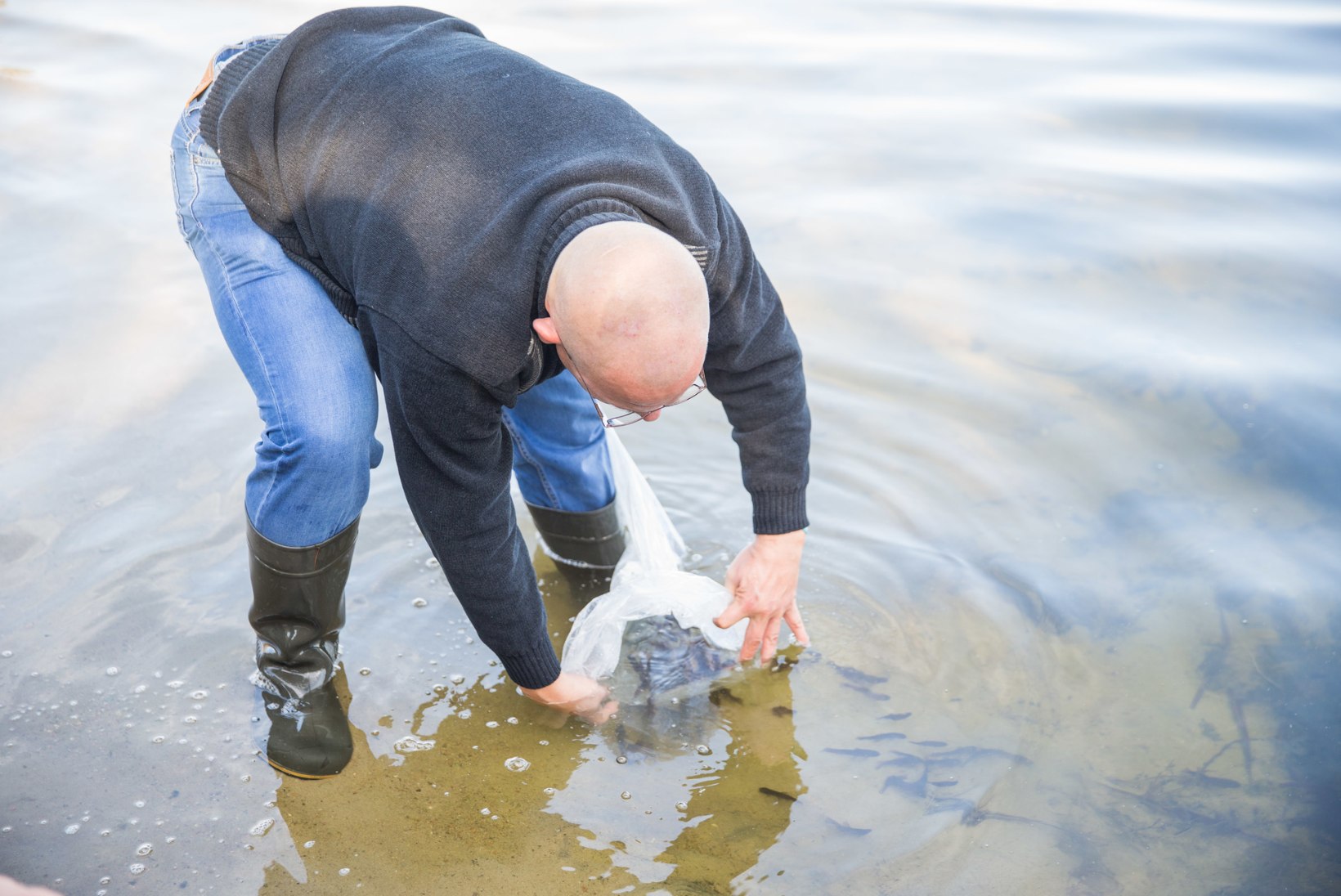 FOTOD | ÖKODESSANT: sajad kalamaimud asuvad Maardu järve puhtaks sööma