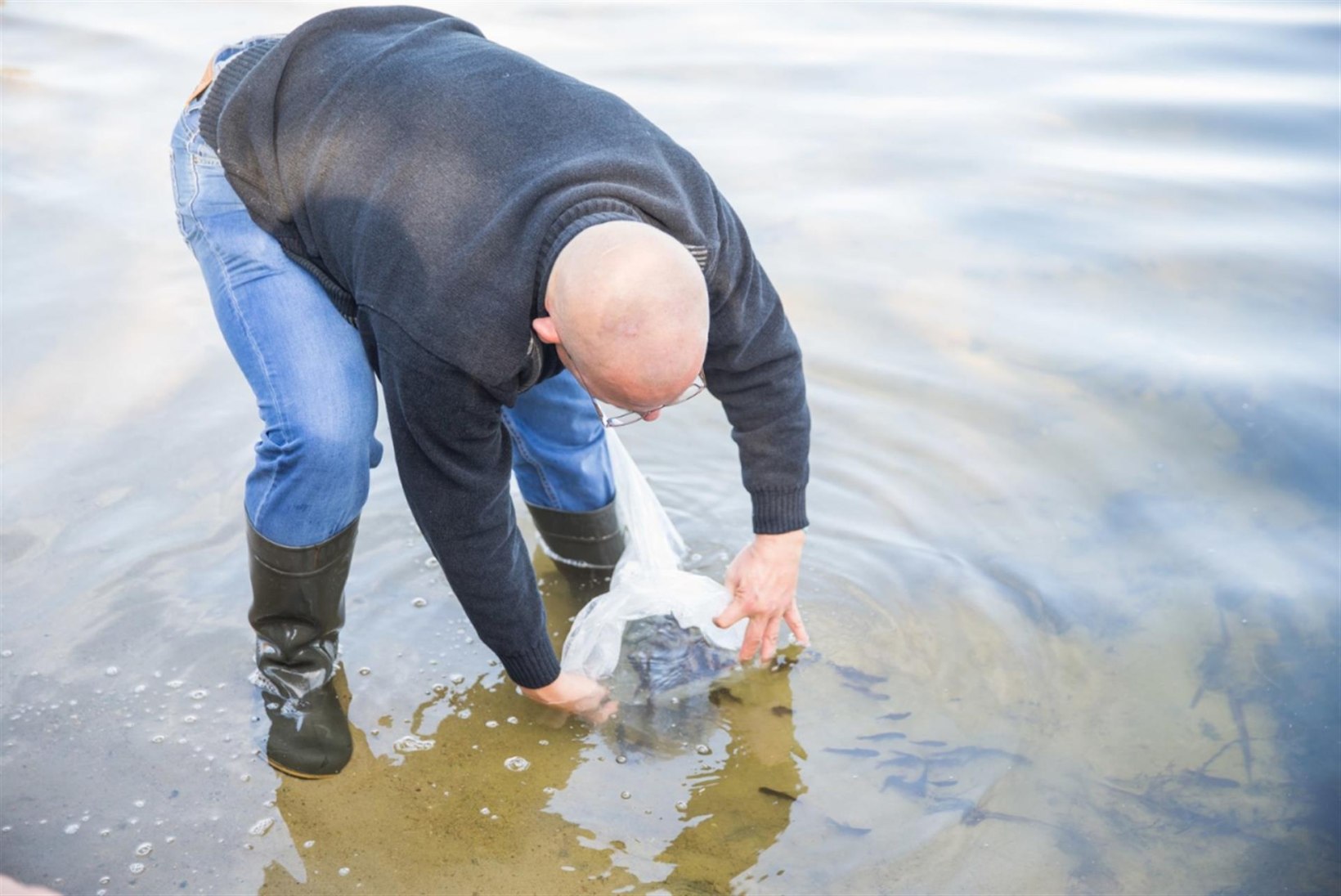 ÖKODESSANT: sajad kalamaimud asuvad Maardu järve puhtaks sööma