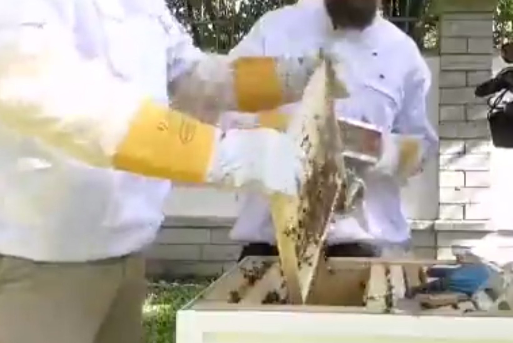 VAATA VIDEOT| Kadrioru mesitarudest võeti välja esimene mesi