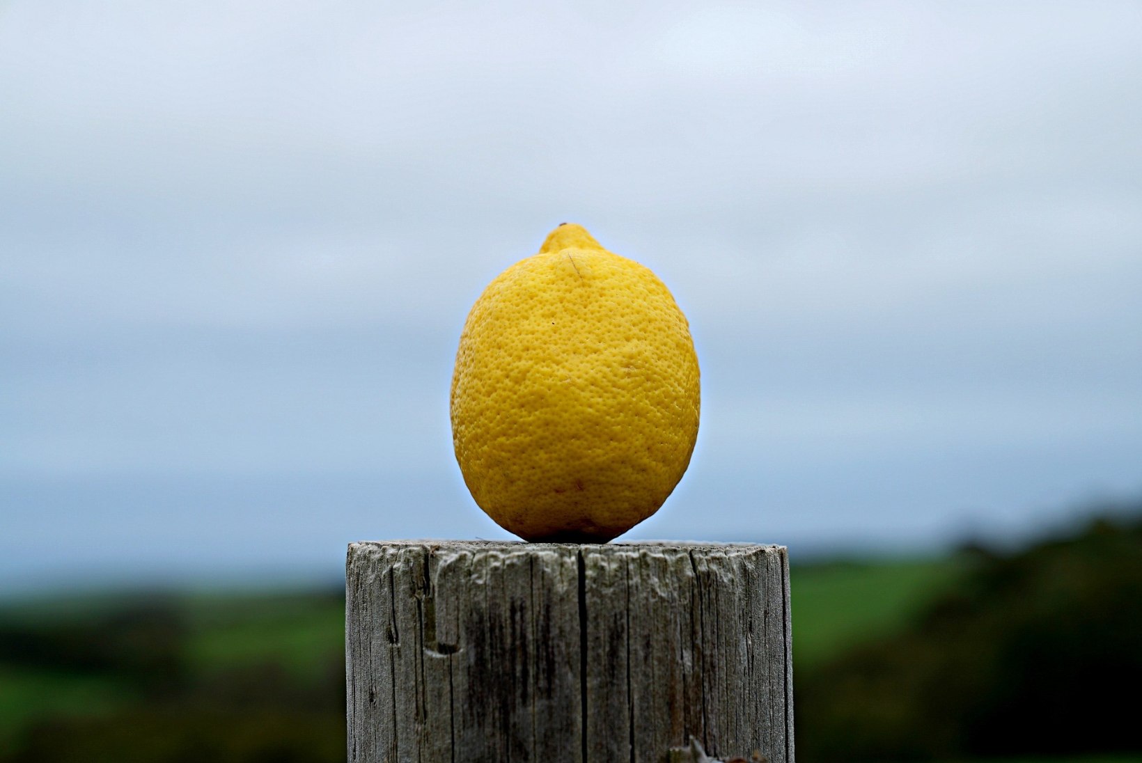 ELLUJÄÄMISOSKUS: kuidas sidruniga lõket süüdata