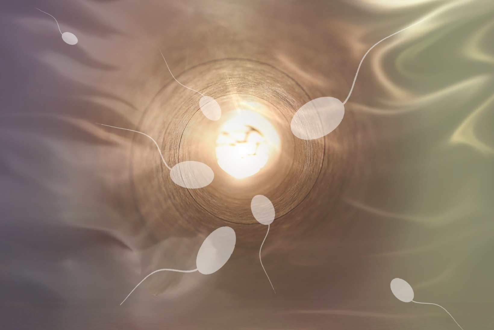 KOGU TÕDE UJUVATEST MEHIKESTEST: 40 miljonit milliliitris ning veel kasulikke ja huvitavaid fakte spermast