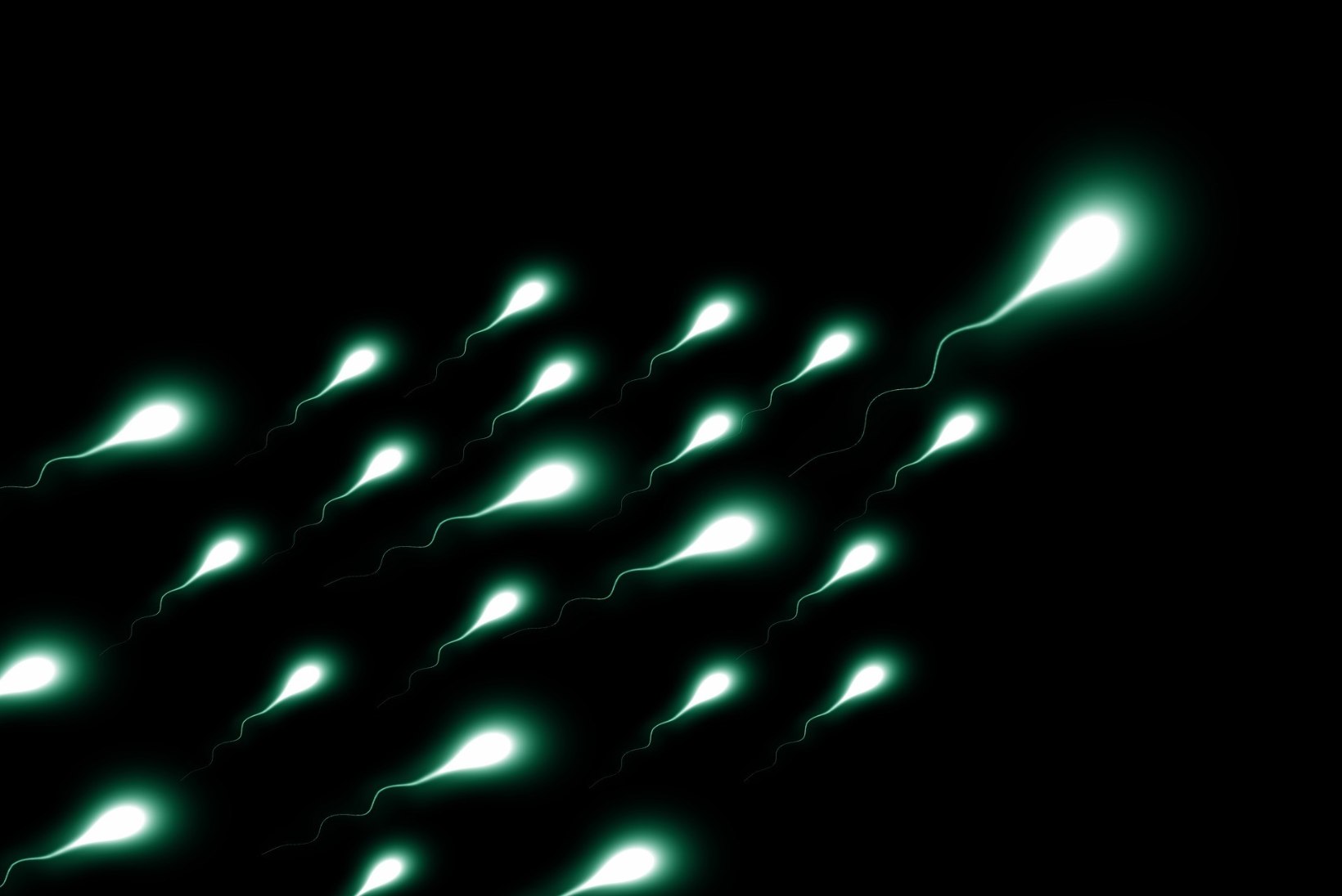 KOGU TÕDE UJUVATEST MEHIKESTEST: 40 miljonit milliliitris ning veel kasulikke ja huvitavaid fakte spermast