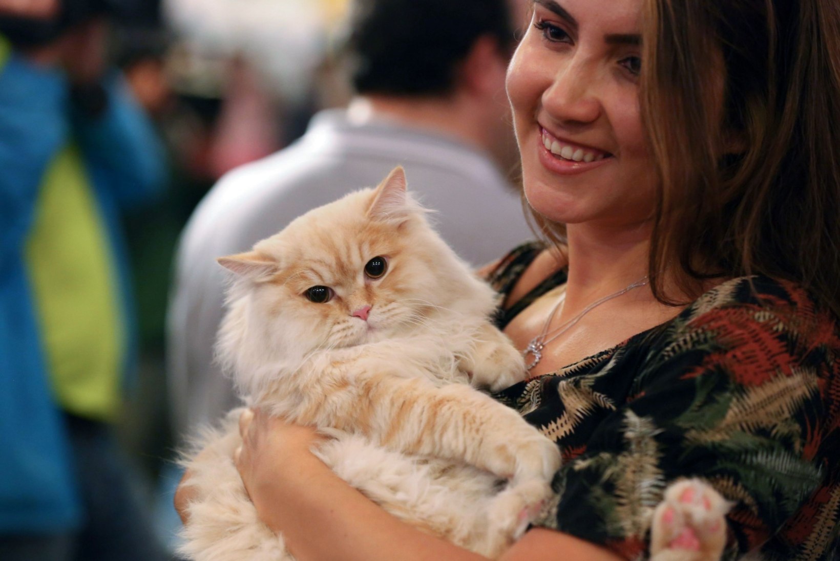 FOTOD | Kes on kõige kaunim kass? Türgis peeti rahvusvahelist kasside iludusvõistlust