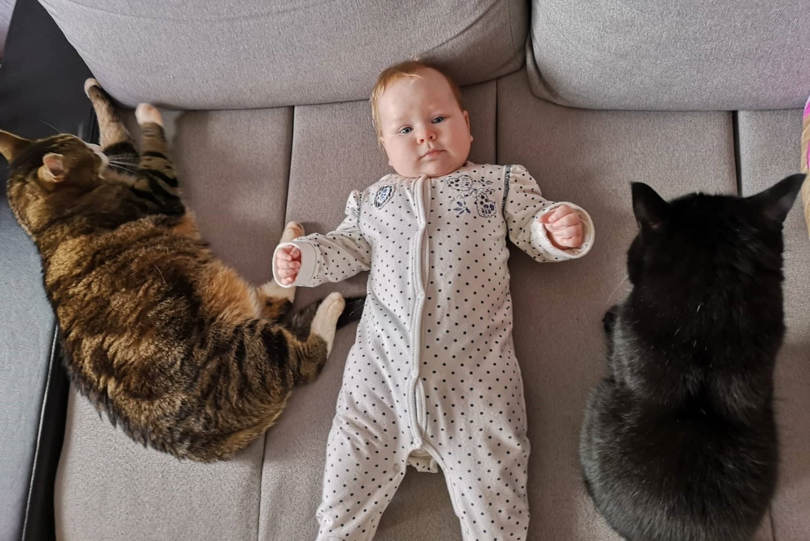 HELENI BEEBIBLOGI | Kuidas saavad omavahel läbi beebi ja minu kaks kassi?