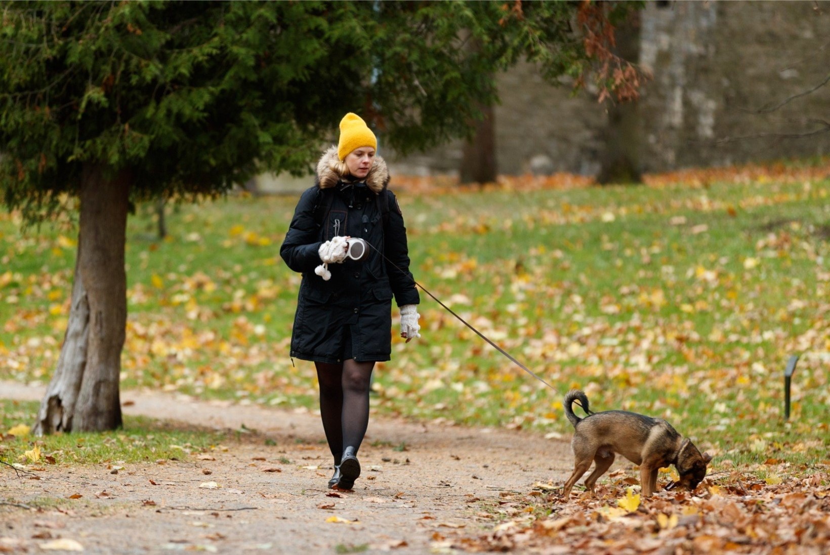 PEHME JA KARVANE | Katrin Lust: inimesed, ärge ostke koertevabrikust 2000-euroseid „kõndivaid käekotte“