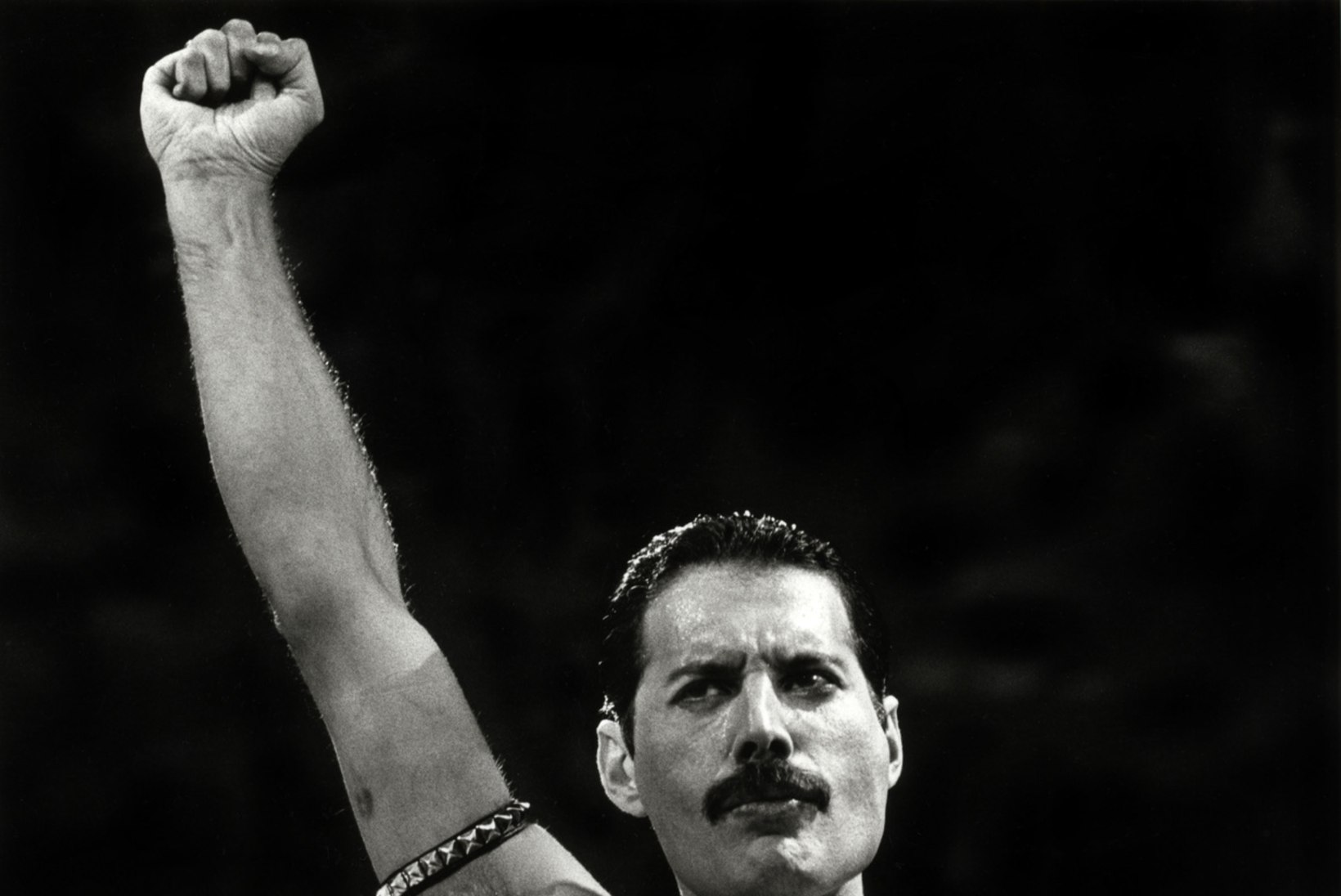Valehambad, kunstnina ja arvutihääl ehk Kuidas „Mr Roboti“ tähest sai Freddie Mercury