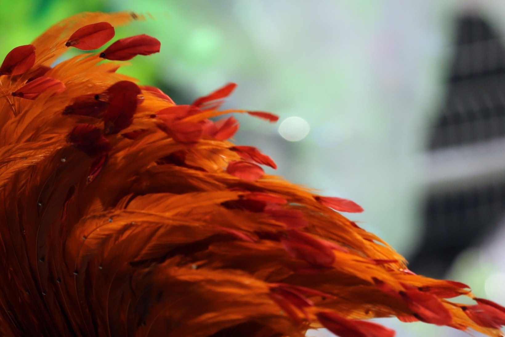 VIDEO | Sambatantsija stringid pudenesid keset karnevaliparaadi jalast 