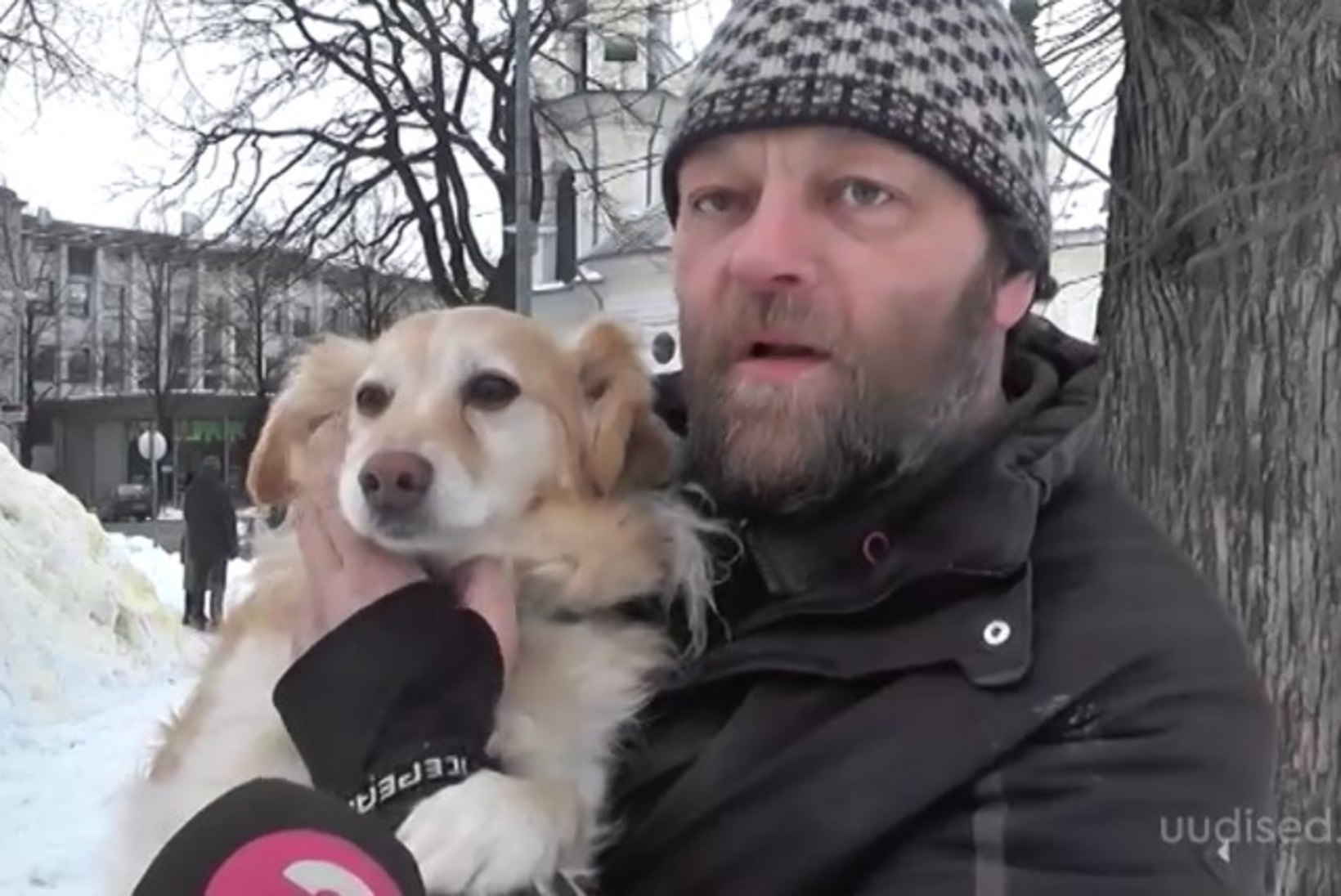 TV3 VIDEO | Pärnusse püstitati laste rõõmustamiseks suur lumest koer