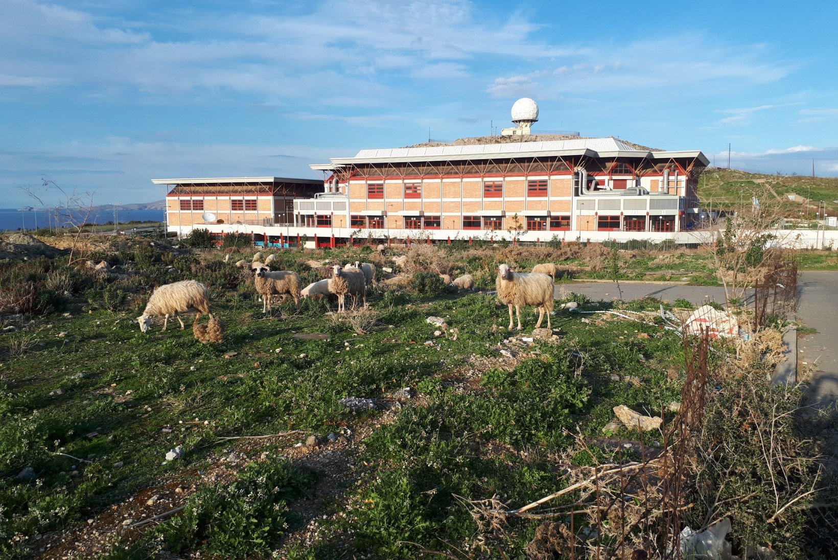 ÕL KREEKAS | FOTOUUDIS | See on elu! Korvpallikoondis mängib saalis, mille kõrval elab kari lambaid