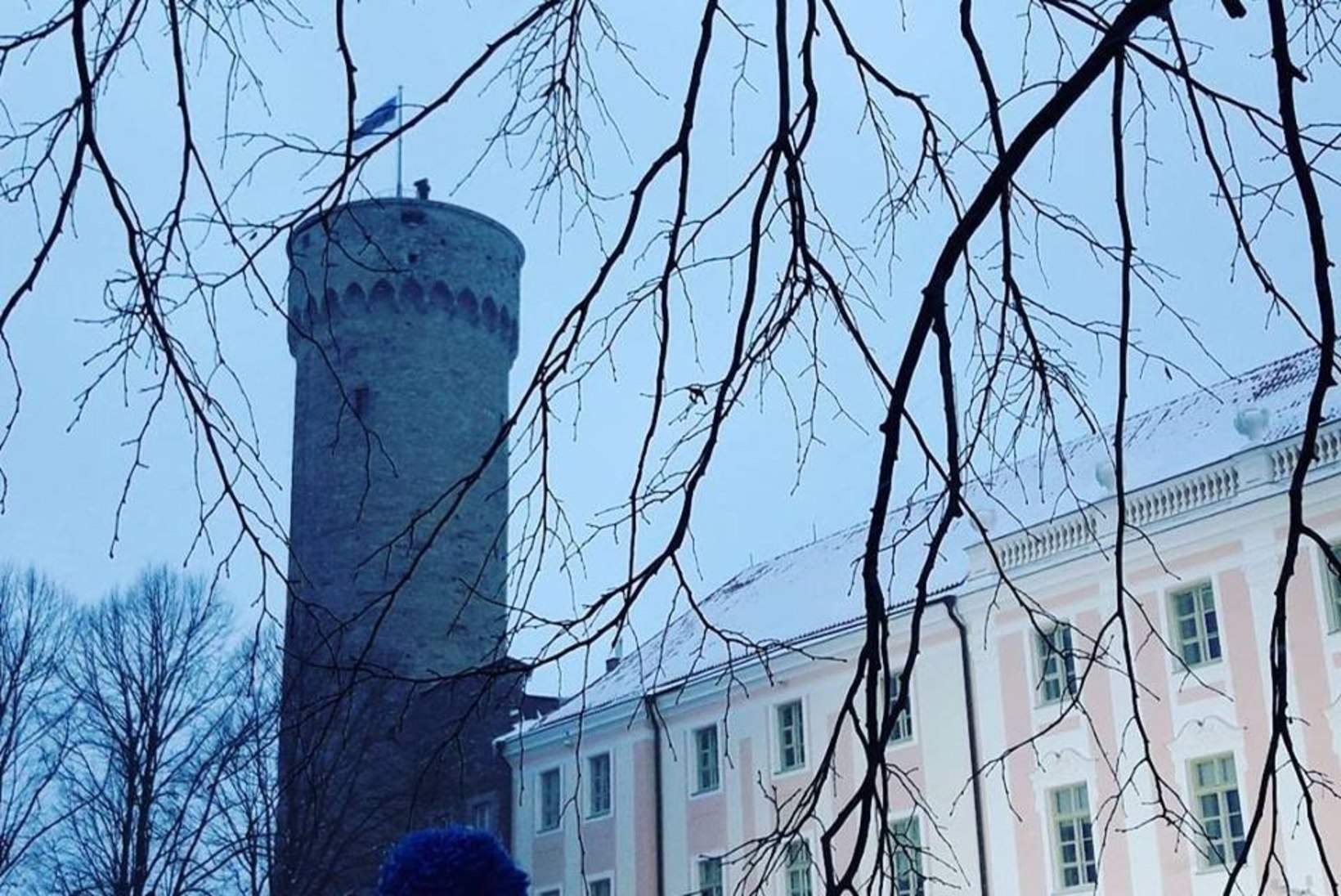 BLOGI JA GALERII | Palju õnne, Eesti! Loe kokkuvõtet päeva tipphetkedest!