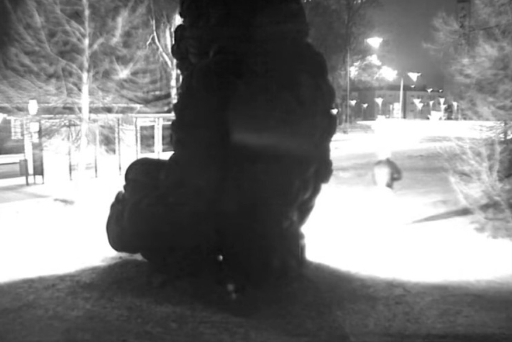 Eestlase hiiglasliku kummigorilla Helsingis maha põletanud mees saadi kätte