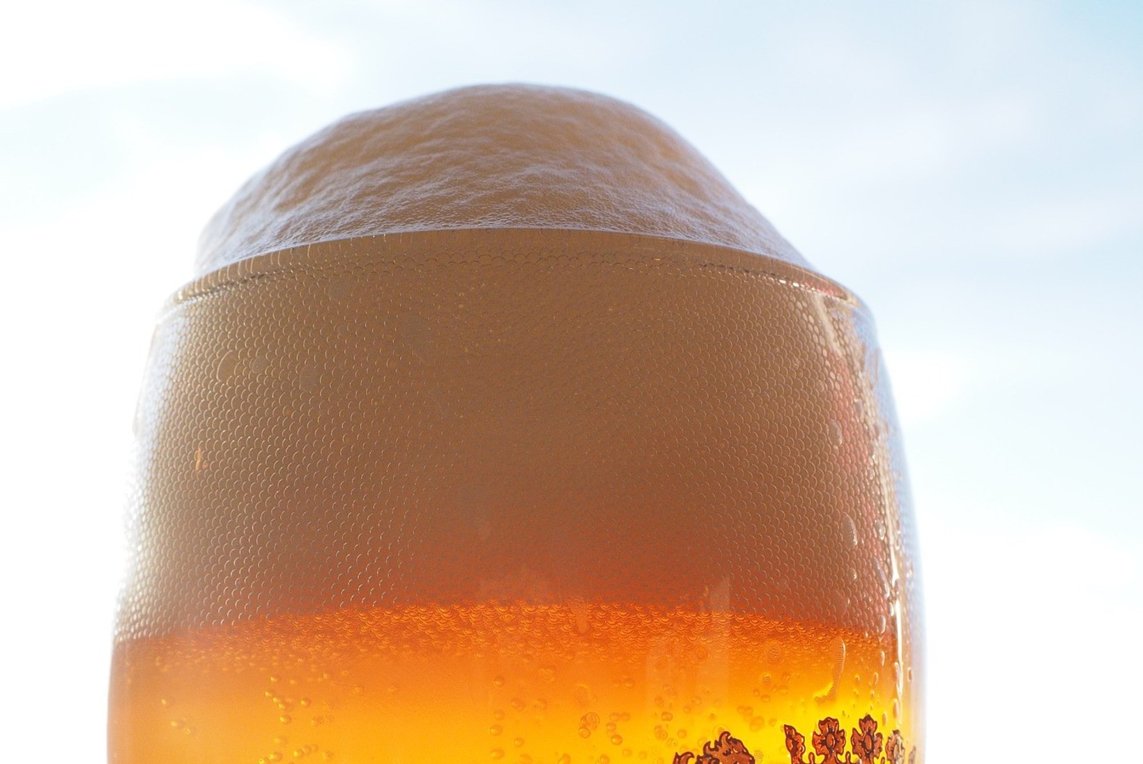 Ameeriklaste valik: 10 alkoholivaba õlut, mis polegi nii pahad (sealhulgas Eesti kali)