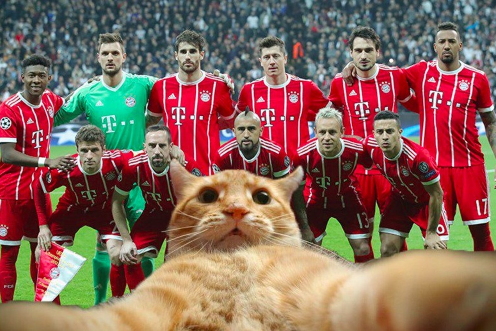 GALERII | Mängu parimaks valitud kass toob Türgi tippklubile karistuse