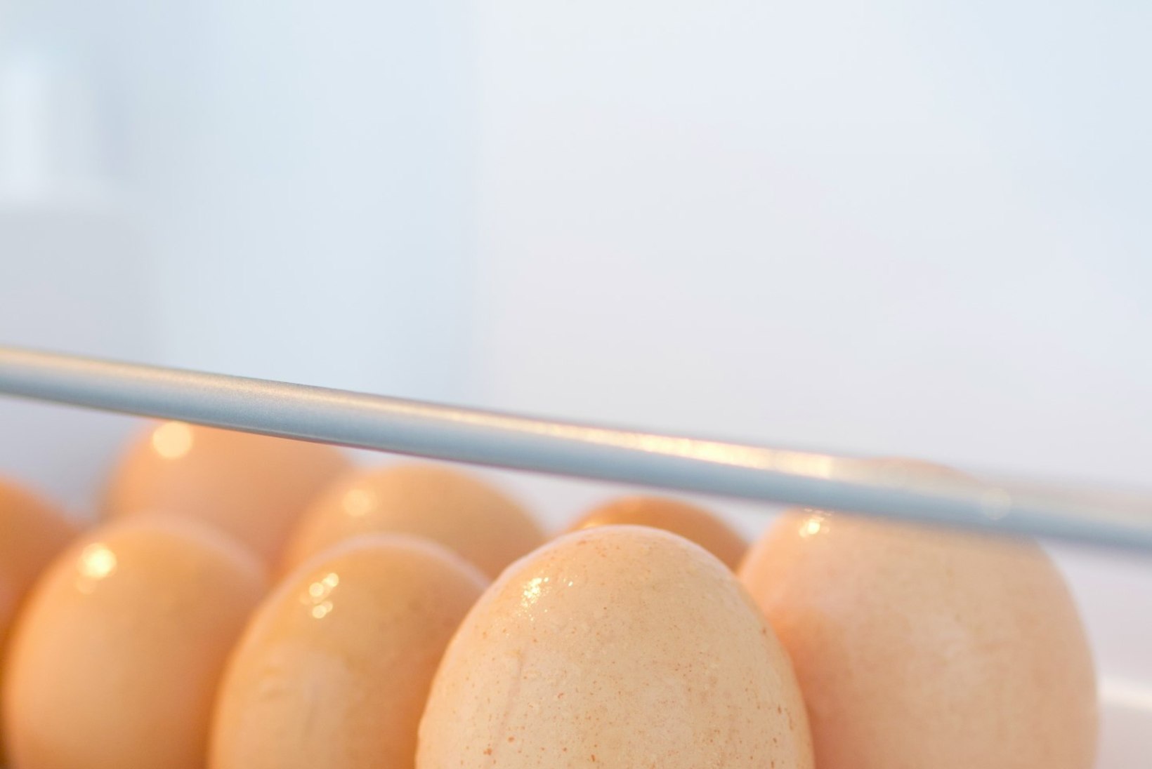 Miks ei tohi mune hoida külmiku ukseriiulil?