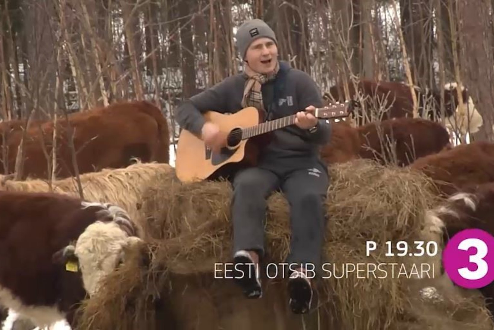 VIDEOD | Superstaarikandidaat Uudo Sepp loob laule kõigest, ka partidest ja veistest!