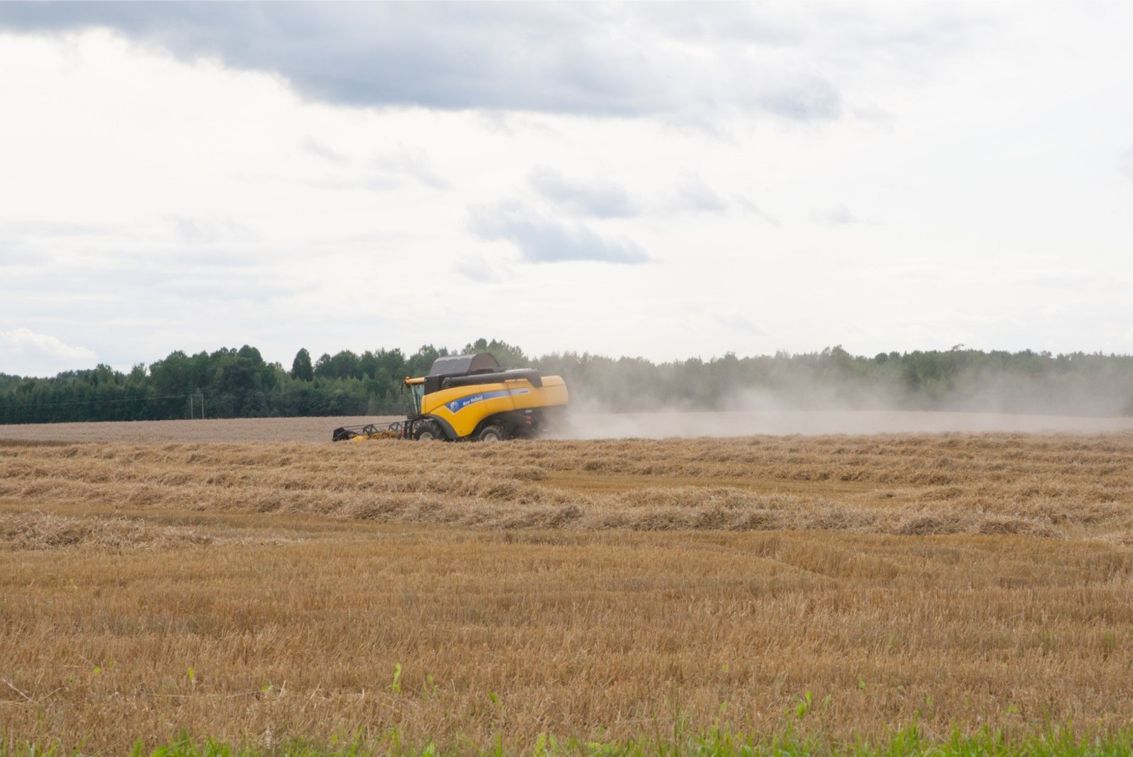 UURING: üle Eesti leiti pinna- ja põhjaveest keelatud pestitsiidide jääke 