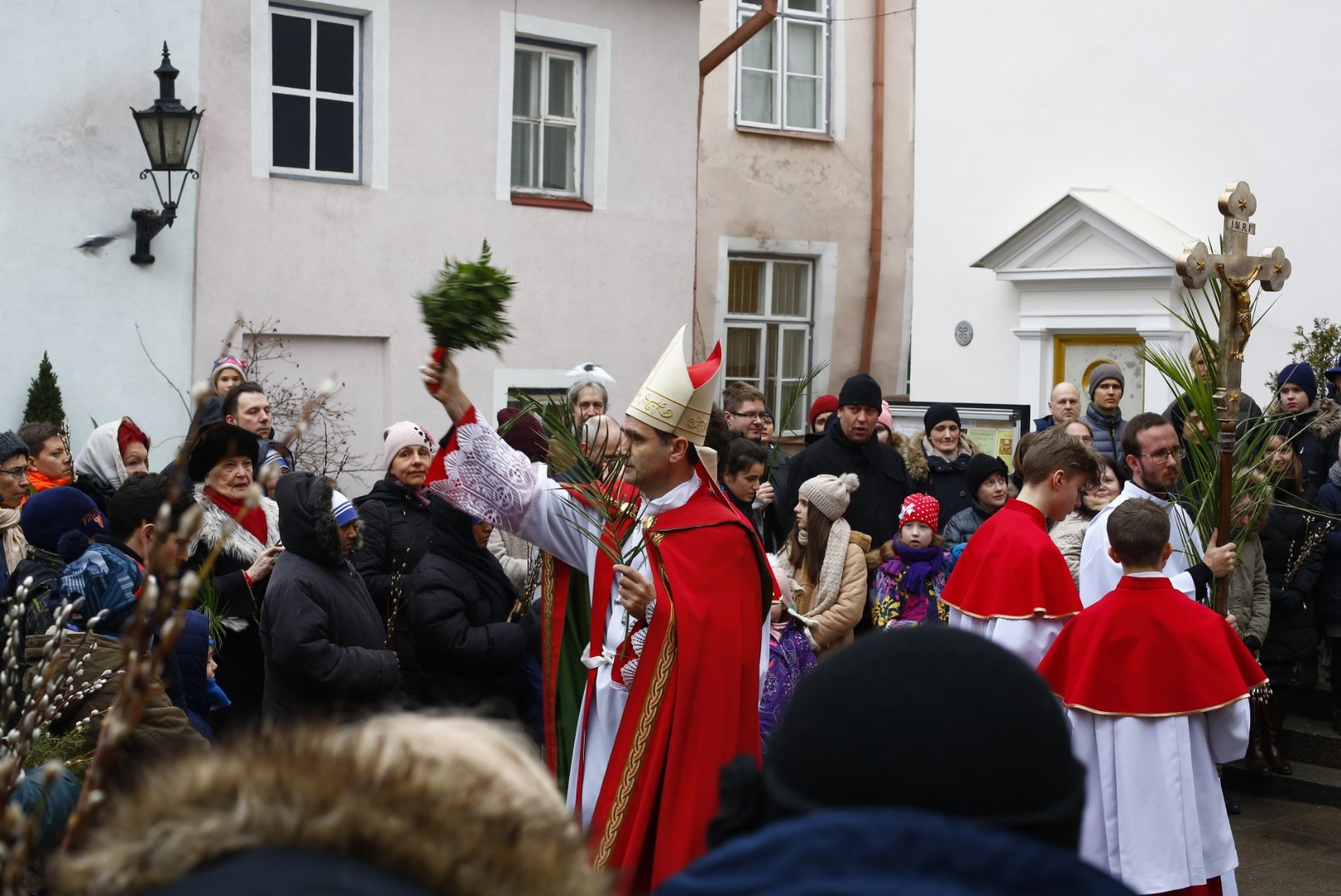 GALERII | Eesti katoliiklased tähistasid palmipuudepüha ristikäiguga 