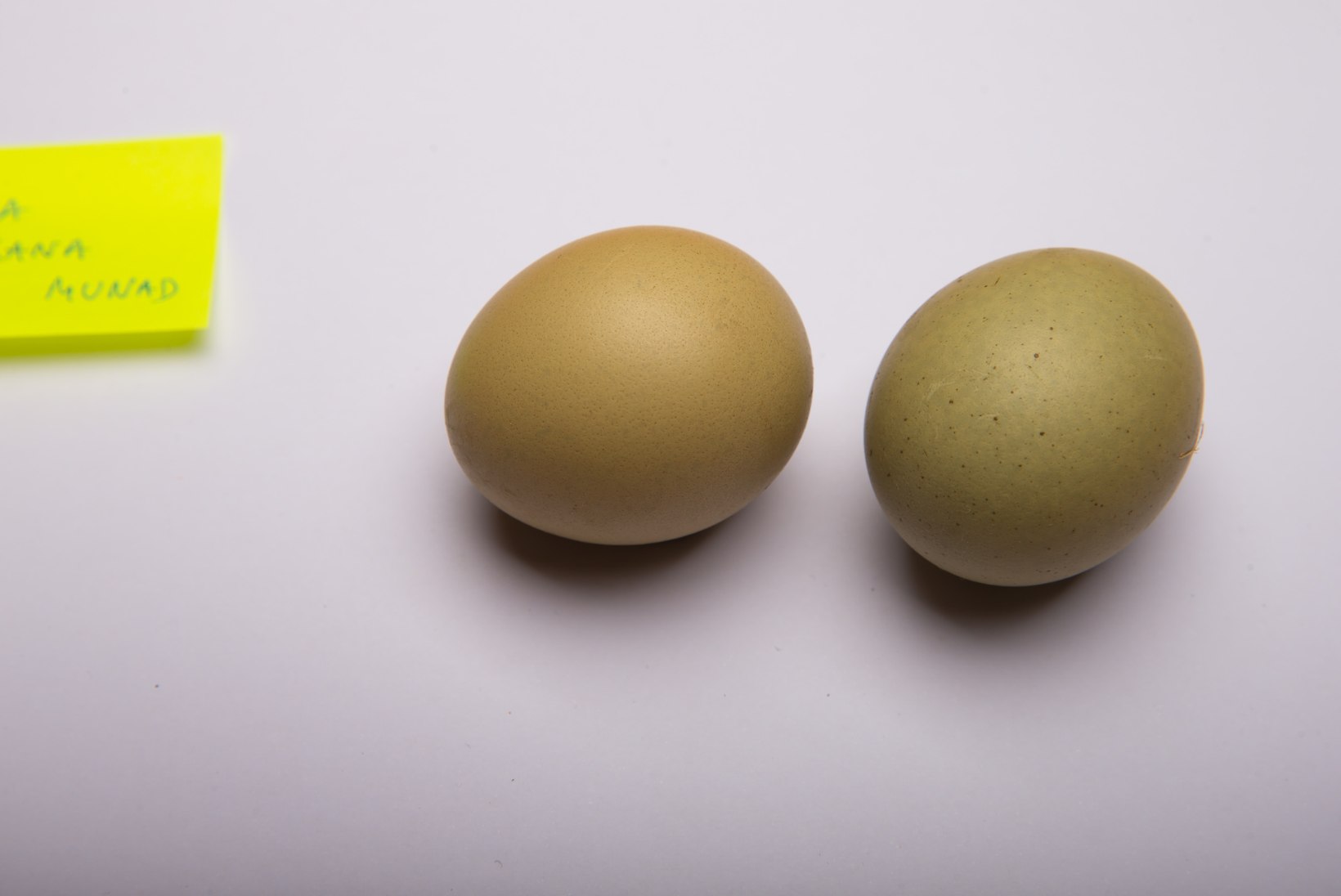 ÕHTULEHE KATSE | Milliste looduslike värvidega saab munadele pühadeilme ja millistega mitte?