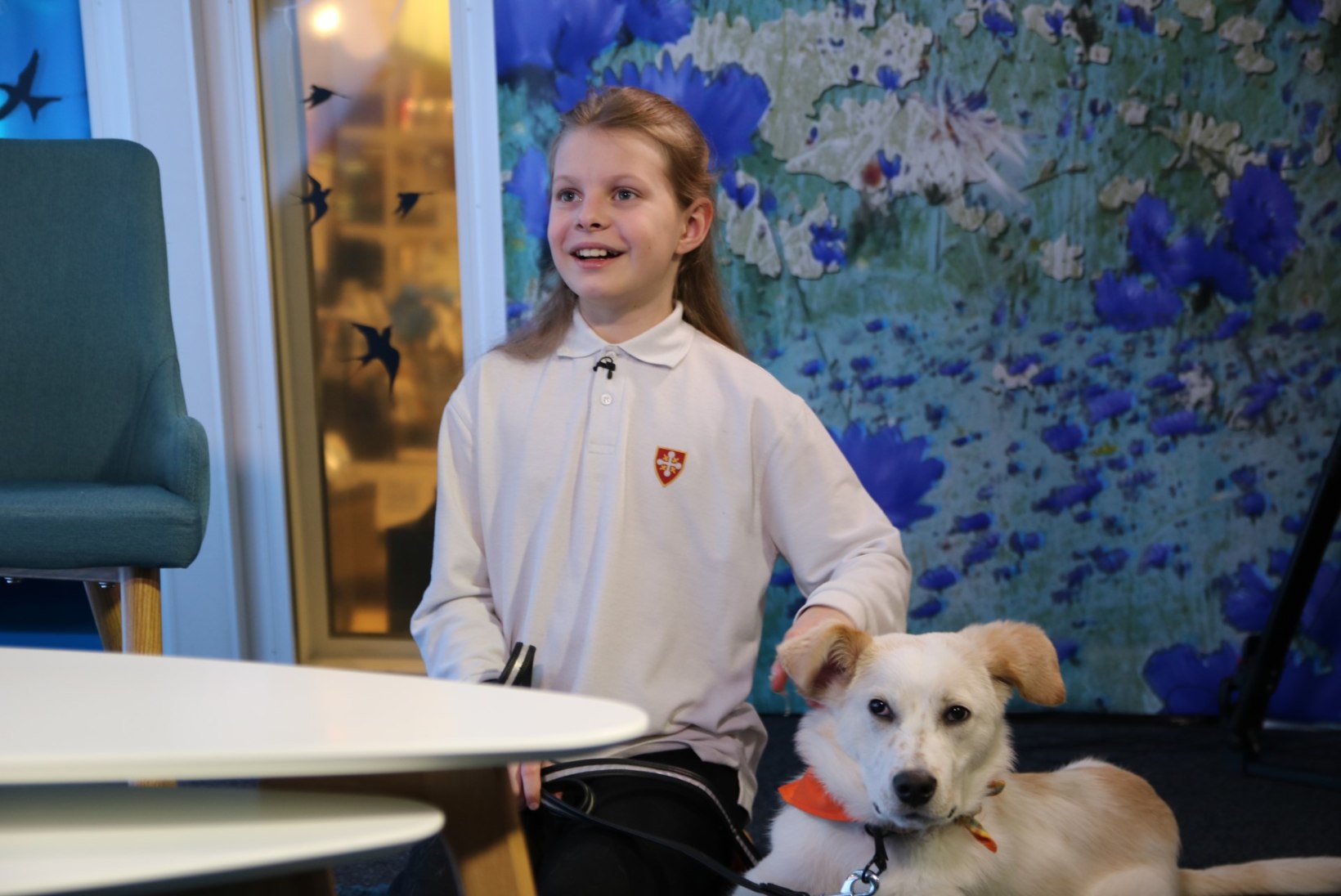 VIDEO | Vinge eeskuju! 11-aastane Eva-Lotta annetas oma raha loomadele 