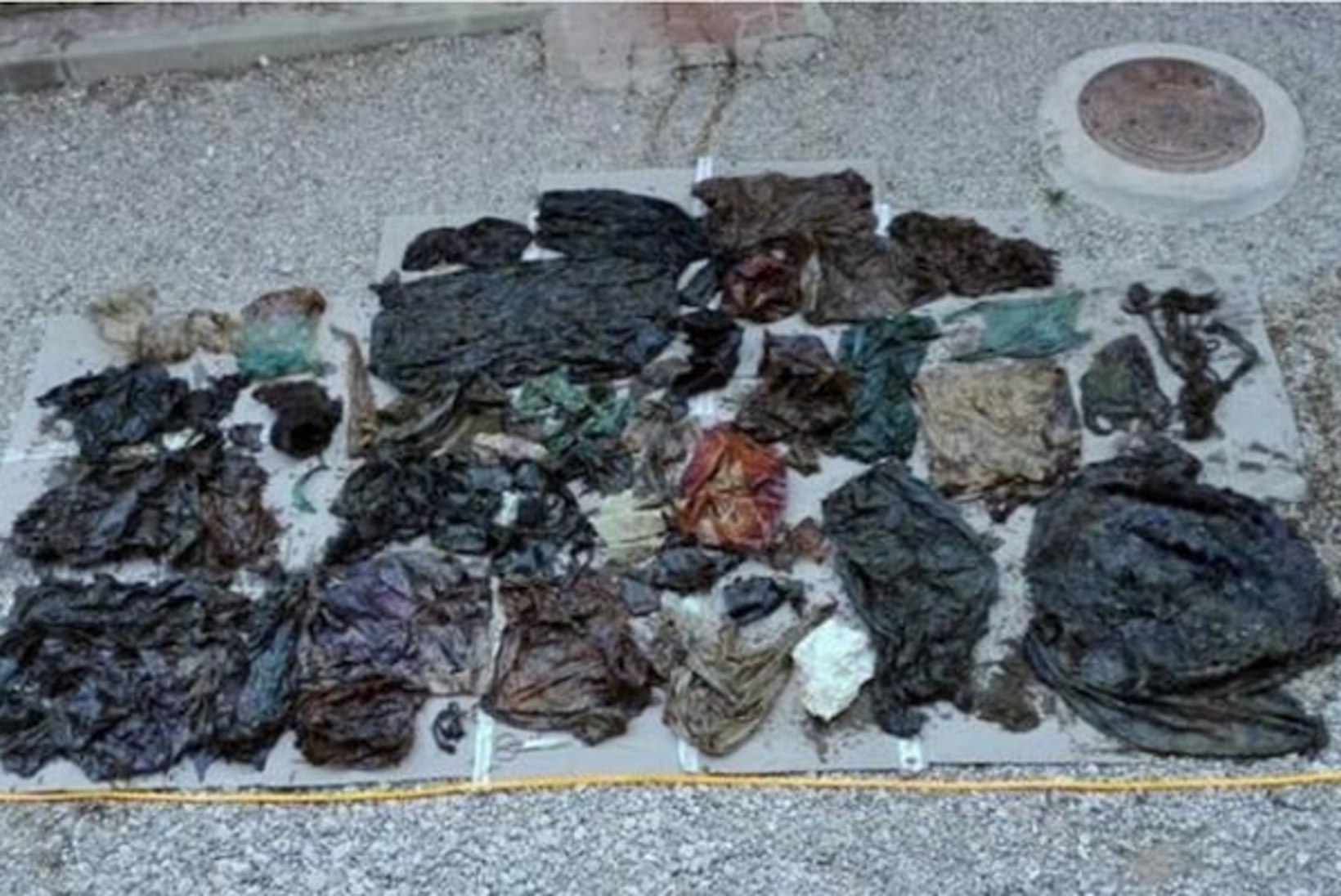 Hispaanias rannale uhutud kašeloti sisikonnast leiti 29 kilo prügi