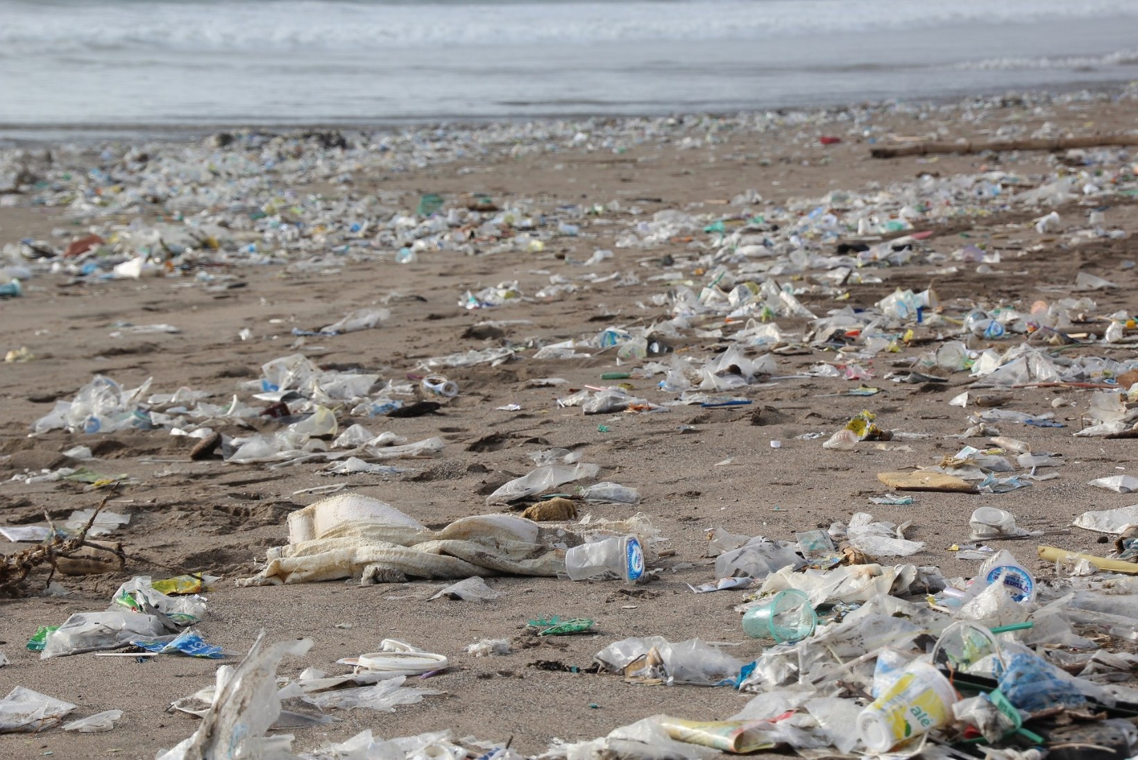 Kas plastisööja bakter päästab Maa plastikatkust?
