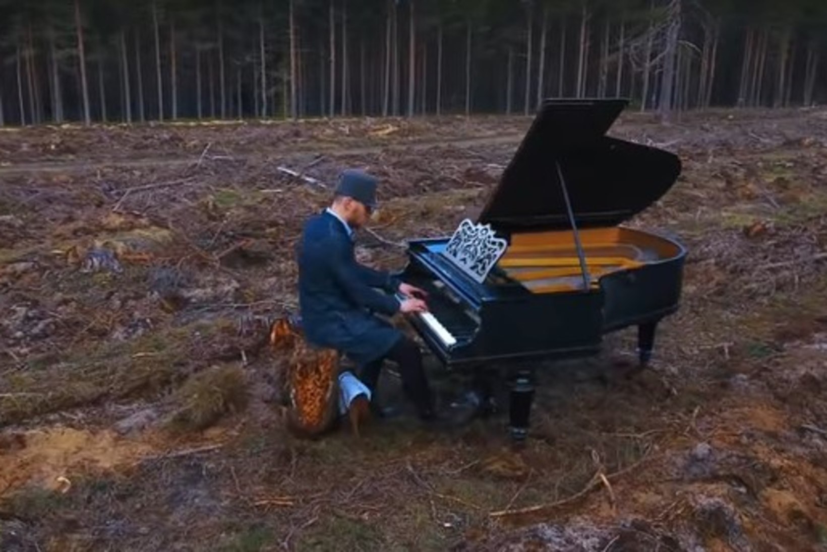 VIDEO | Martin Saare üleskutse Eesti metsade kaitseks: on viimane hetk tegutseda!