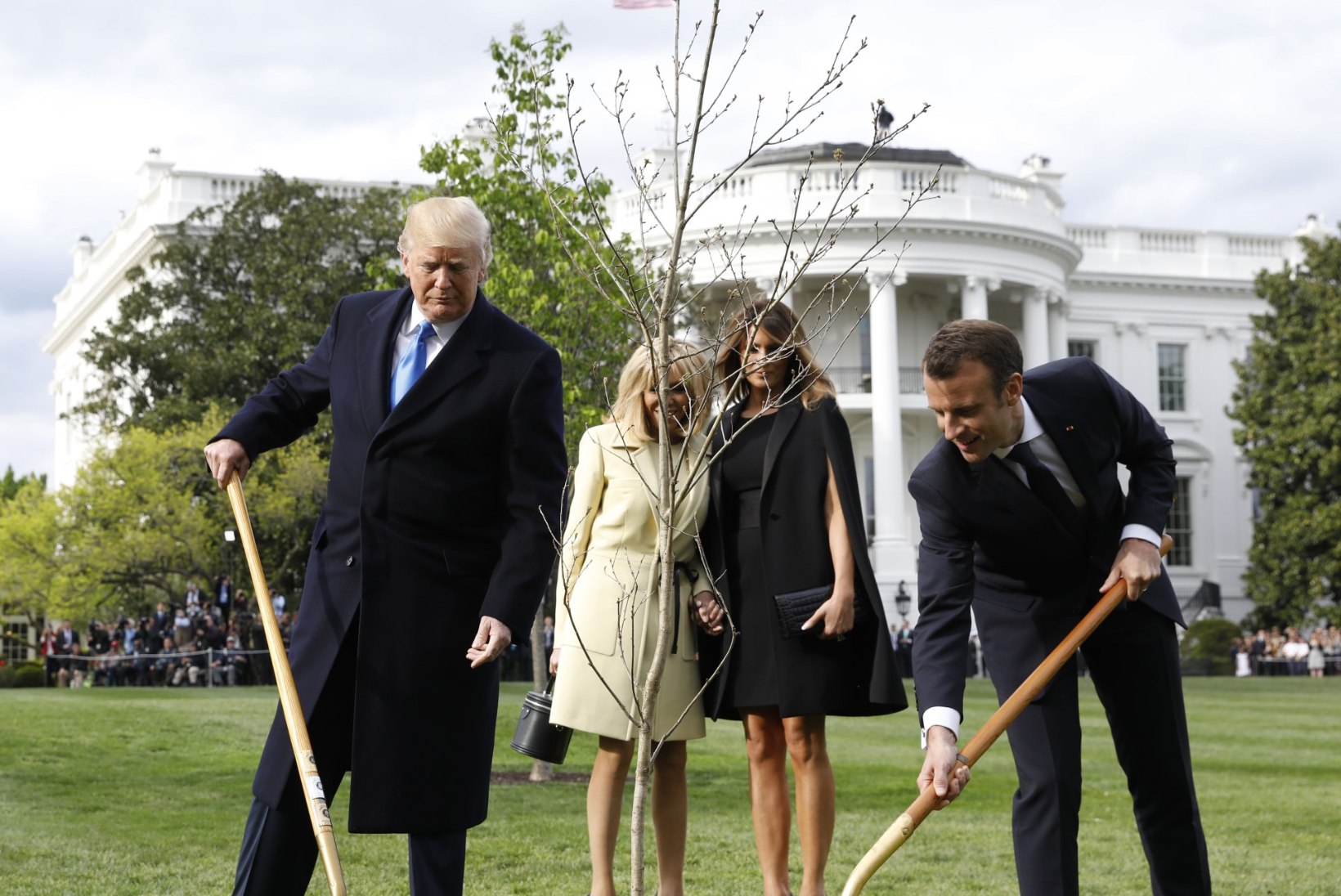 PILTUUDIS | Macroni ja Trumpi istutatud puu asemel laiub vaid kollakas murulapp