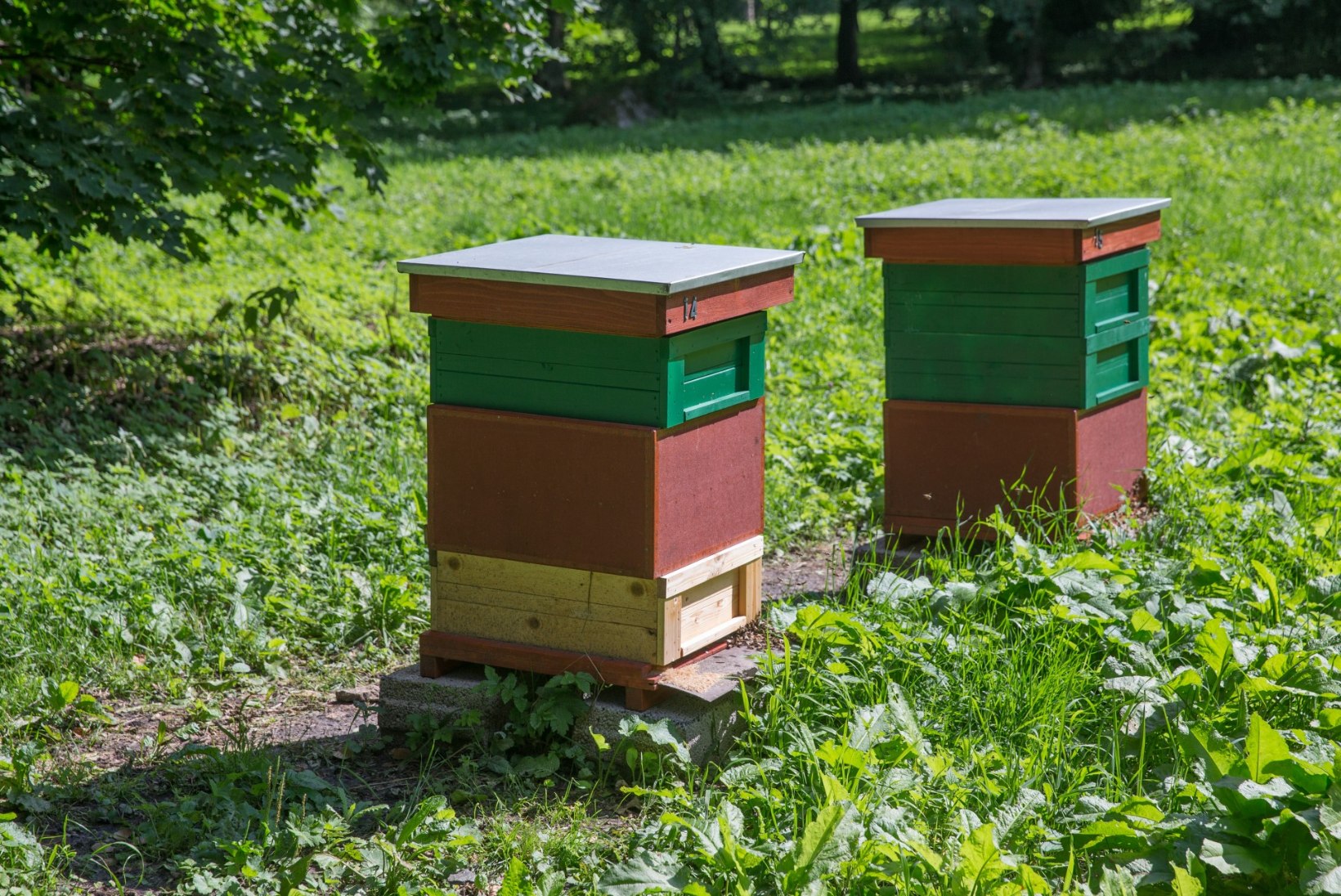 Põllumajanduskoda: taimekaitsetöid tehes tuleb arvestada ka mesilastega