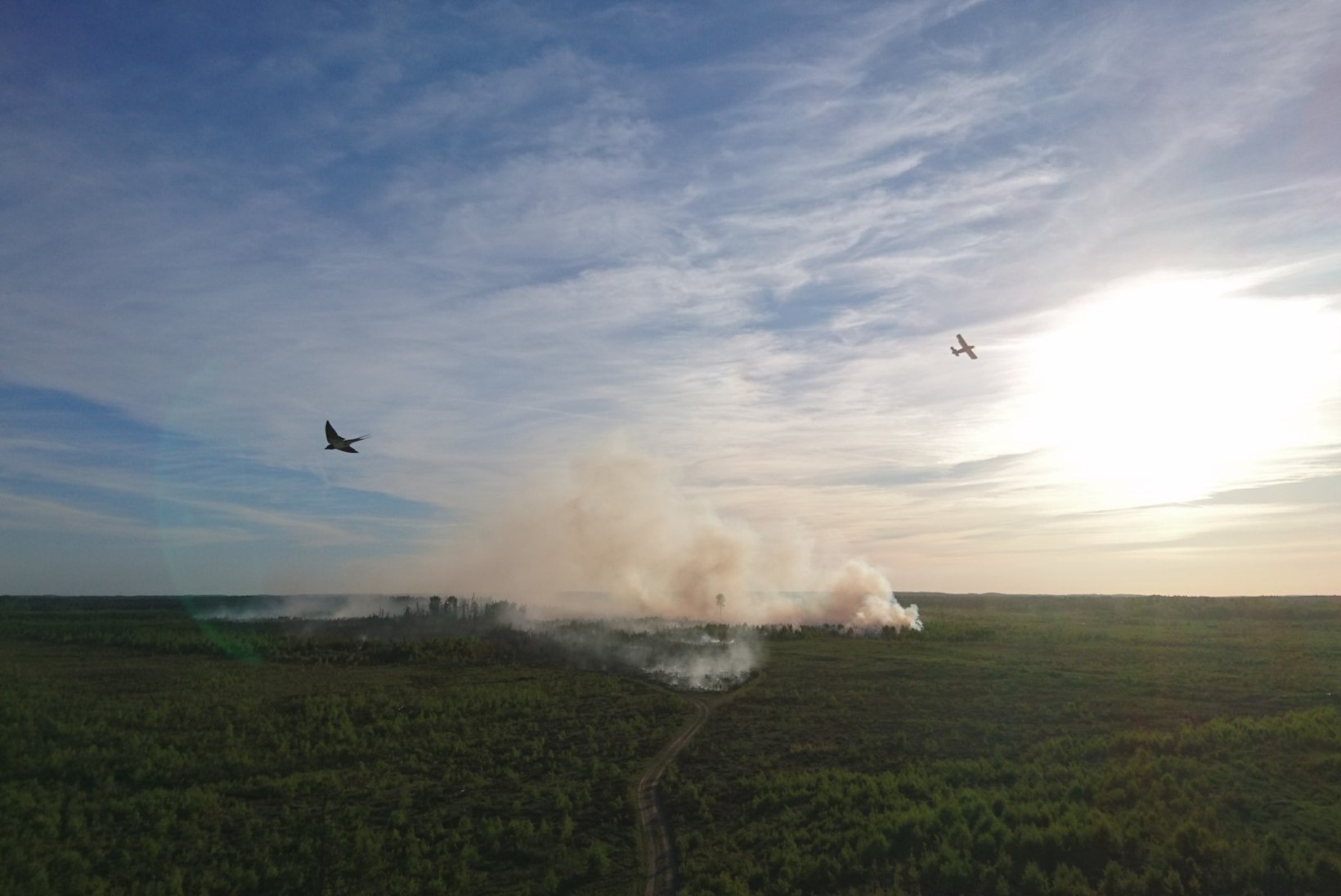 FOTOD SÜNDMUSKOHALT | Kaitseväe keskpolügooni põleng on levinud 164 hektarile
