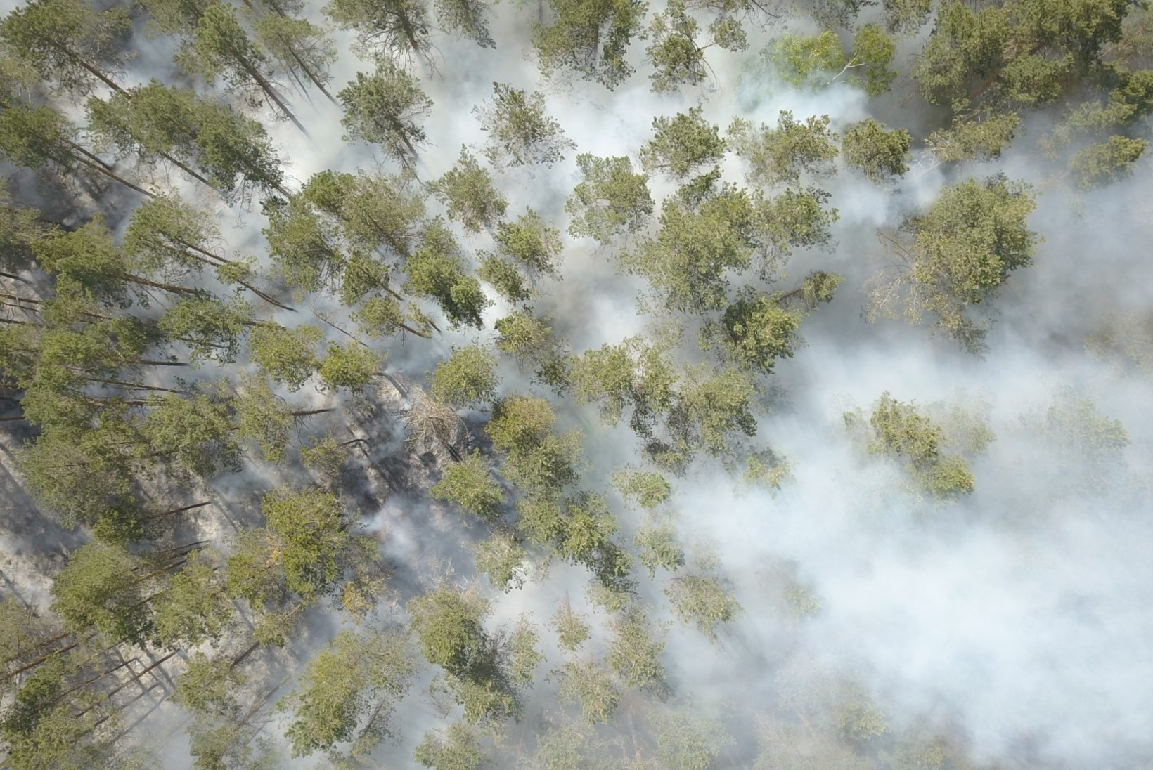 DROONIFOTOD | Lääne-Virumaa metsapõlengut kustutasid päästjad kolmest maakonnast