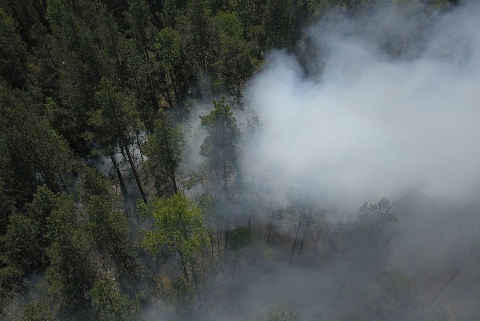 DROONIFOTOD | Lääne-Virumaa metsapõlengut kustutasid päästjad kolmest maakonnast