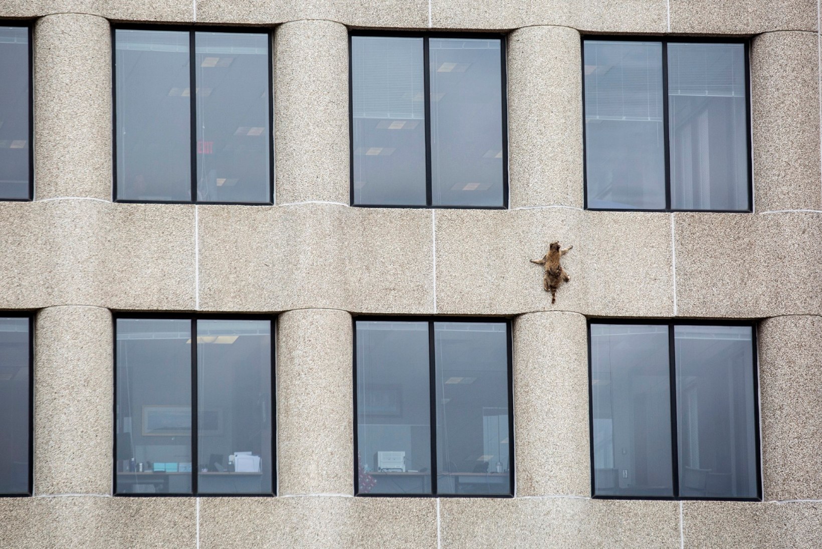 FOTOD JA VIDEO | Vapper pesukaru ronis 23-korruselise maja katusele