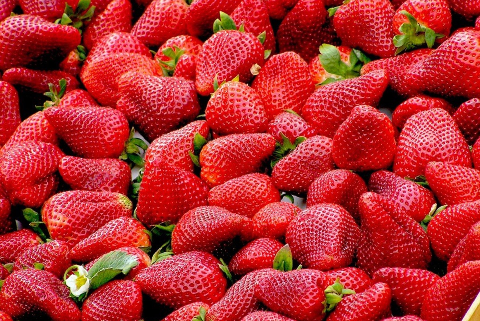 RETSEPT | Küpsetamata maasikakook