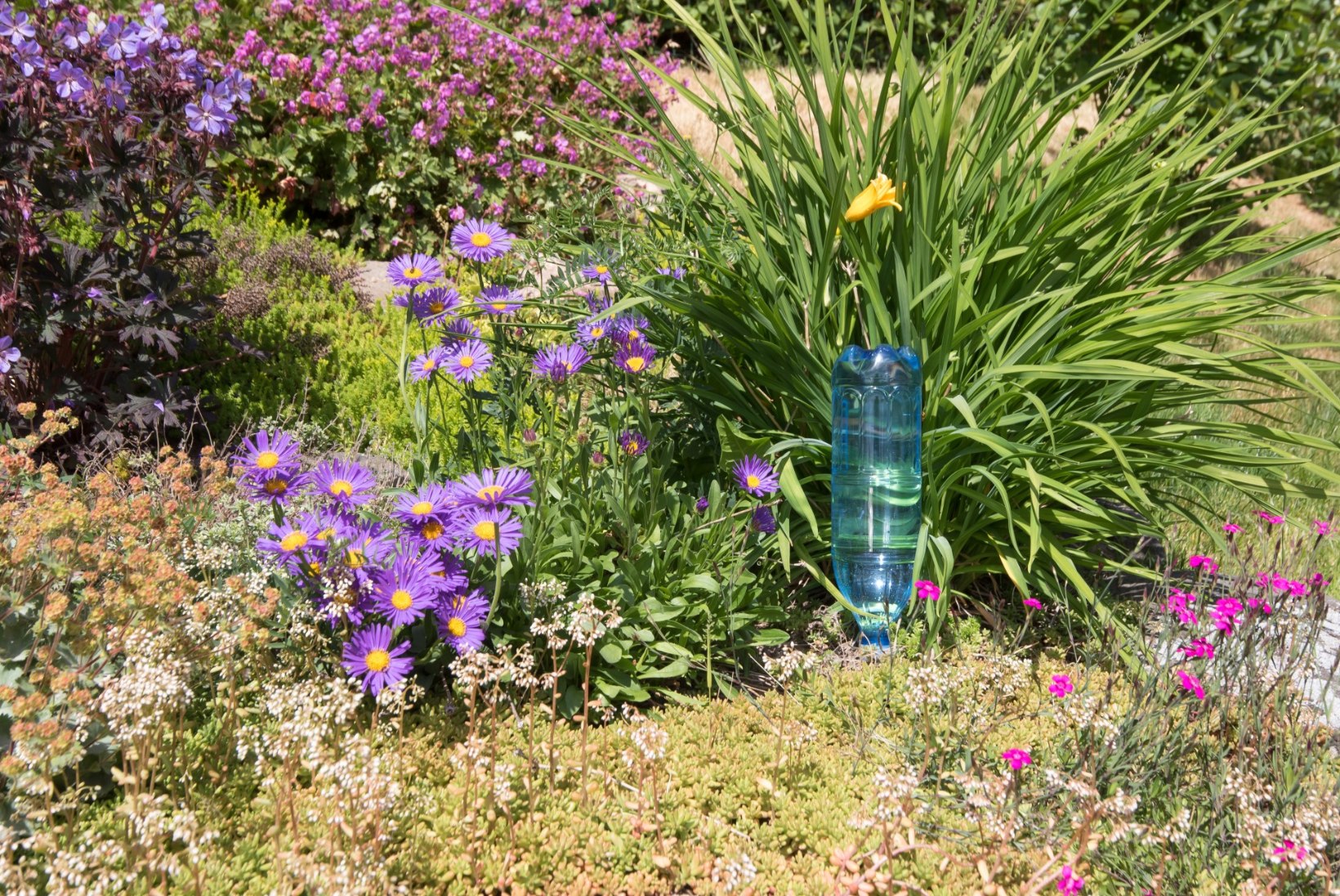 NUTIKA AEDNIKU KASTMISNÕKSUD: vaata, kuidas suveseikluste ajal taimed kastetud saaks!