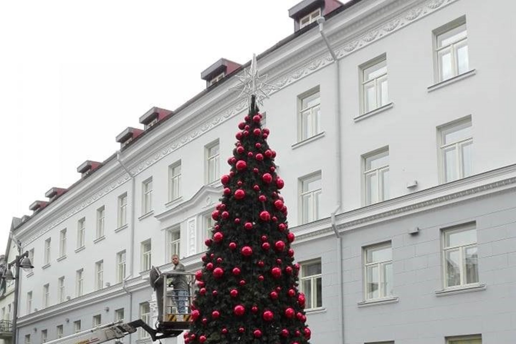 FOTOD | Tallinna vanalinna püstitati jõulukuusk... keset juunit!