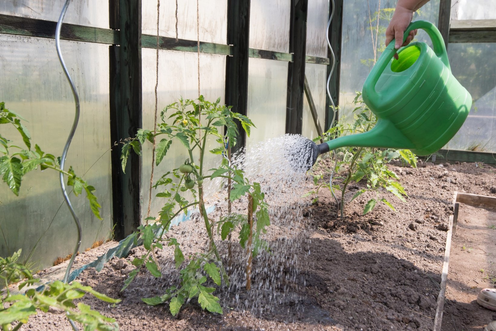 NUTIKA AEDNIKU KASTMISNÕKSUD: vaata, kuidas suveseikluste ajal taimed kastetud saaks!