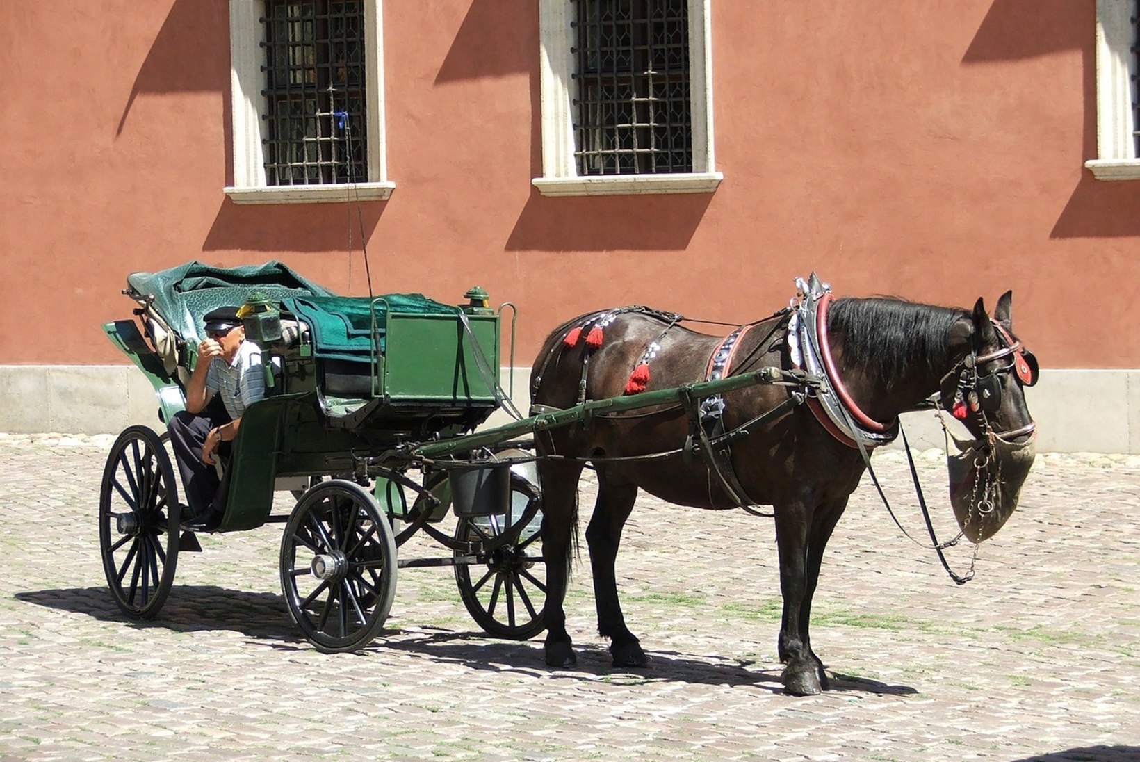 Ehmunud hobune tormas Tallinnas ratturile otsa