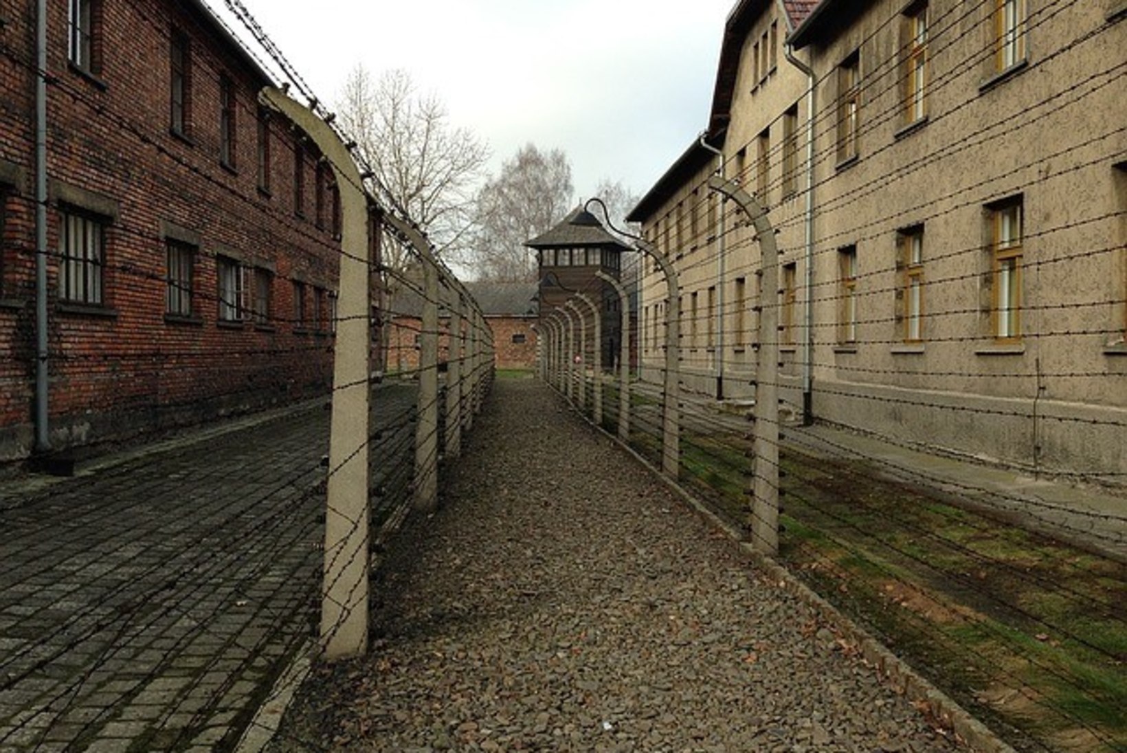 RUMAL TEMP: turistid püüdsid traagilise taustaga Auschwitzist meeneid varastada 