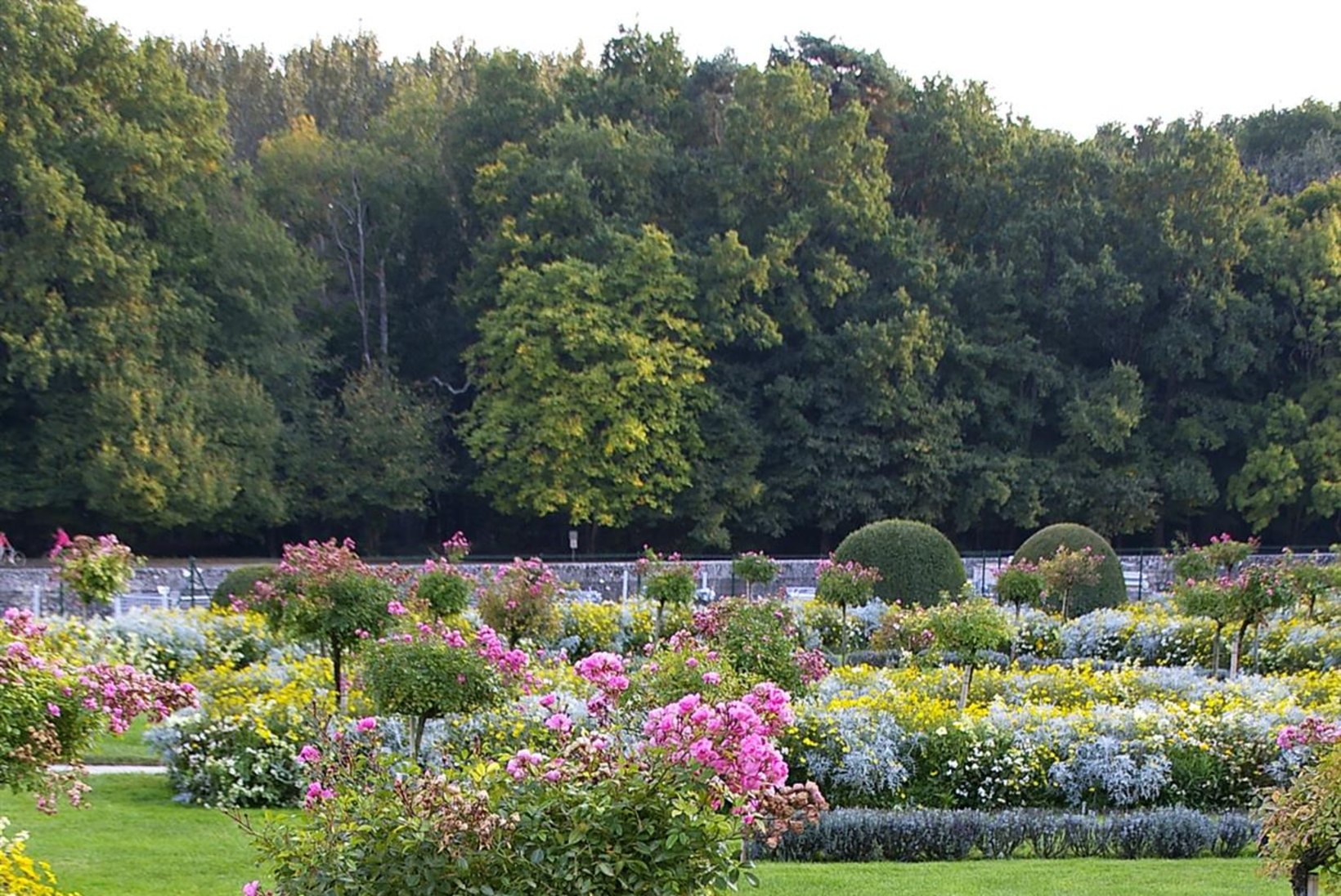 FOTOLUGU | Roosid aias  – nii saad endale tõeliselt kauni lillepeenra