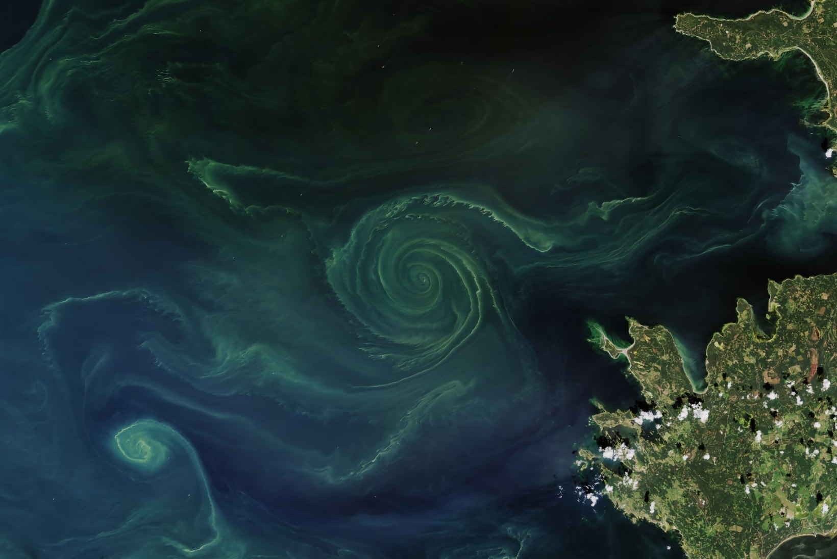 NASA foto:  Läänemeri on sinivetikatest roheline