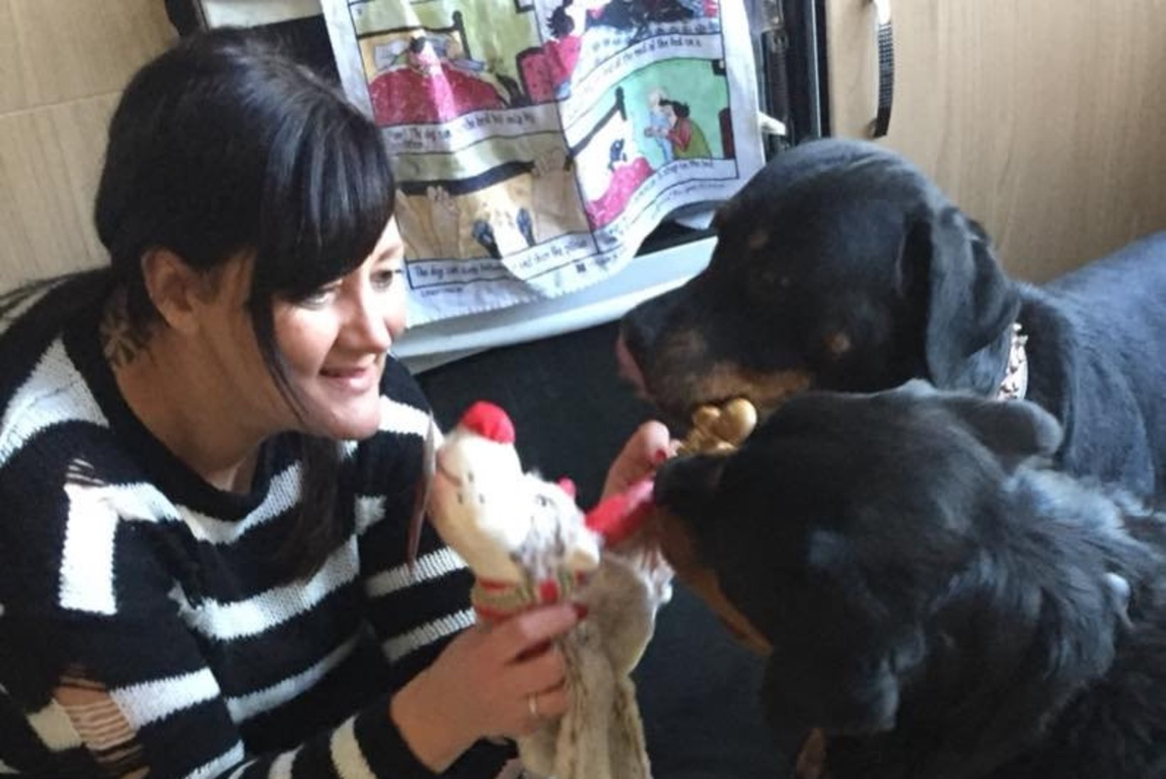 FOTOD | Endine meditsiiniõde avas Inglismaa esimese koertele mõeldud hospiitsi