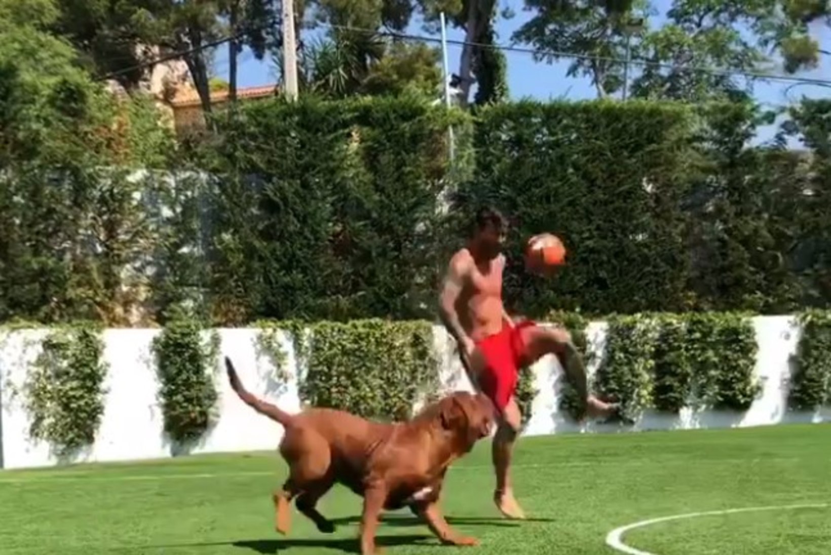 LAHE VIDEO | Vaata, kuidas Messi koduõuel oma koera lollitab