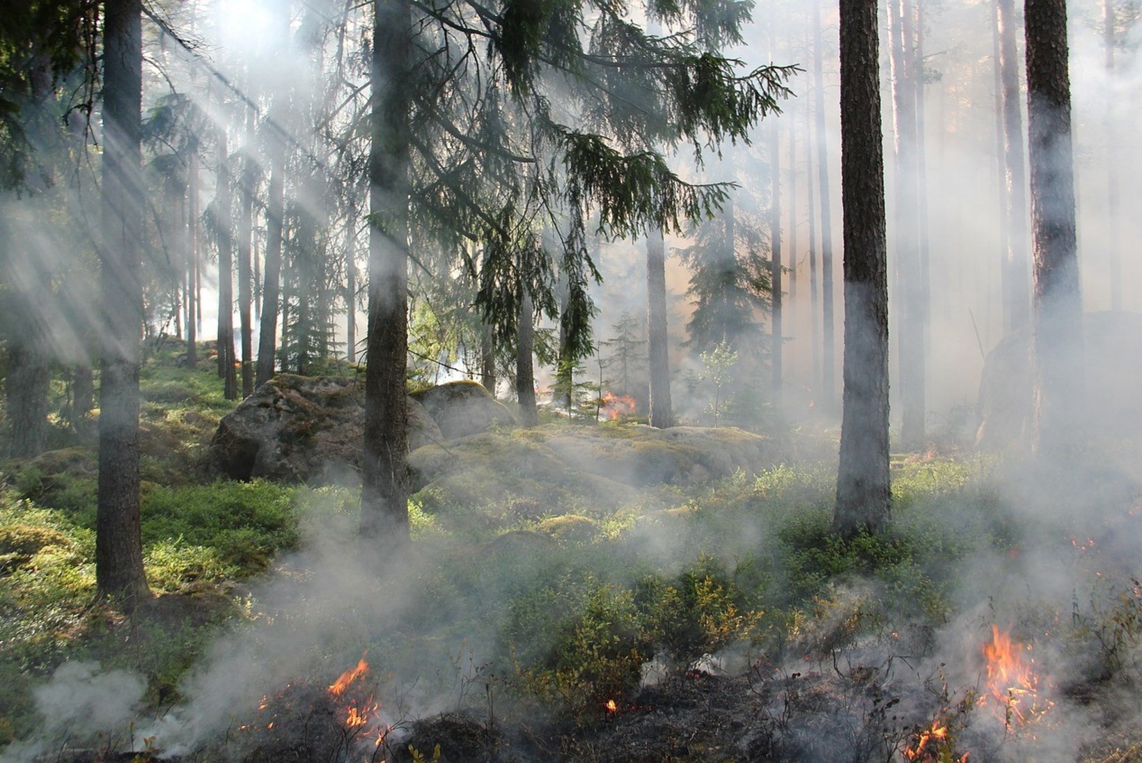 Päästeamet hoiatab: Eestis on jätkuvalt suure tuleohuga aeg