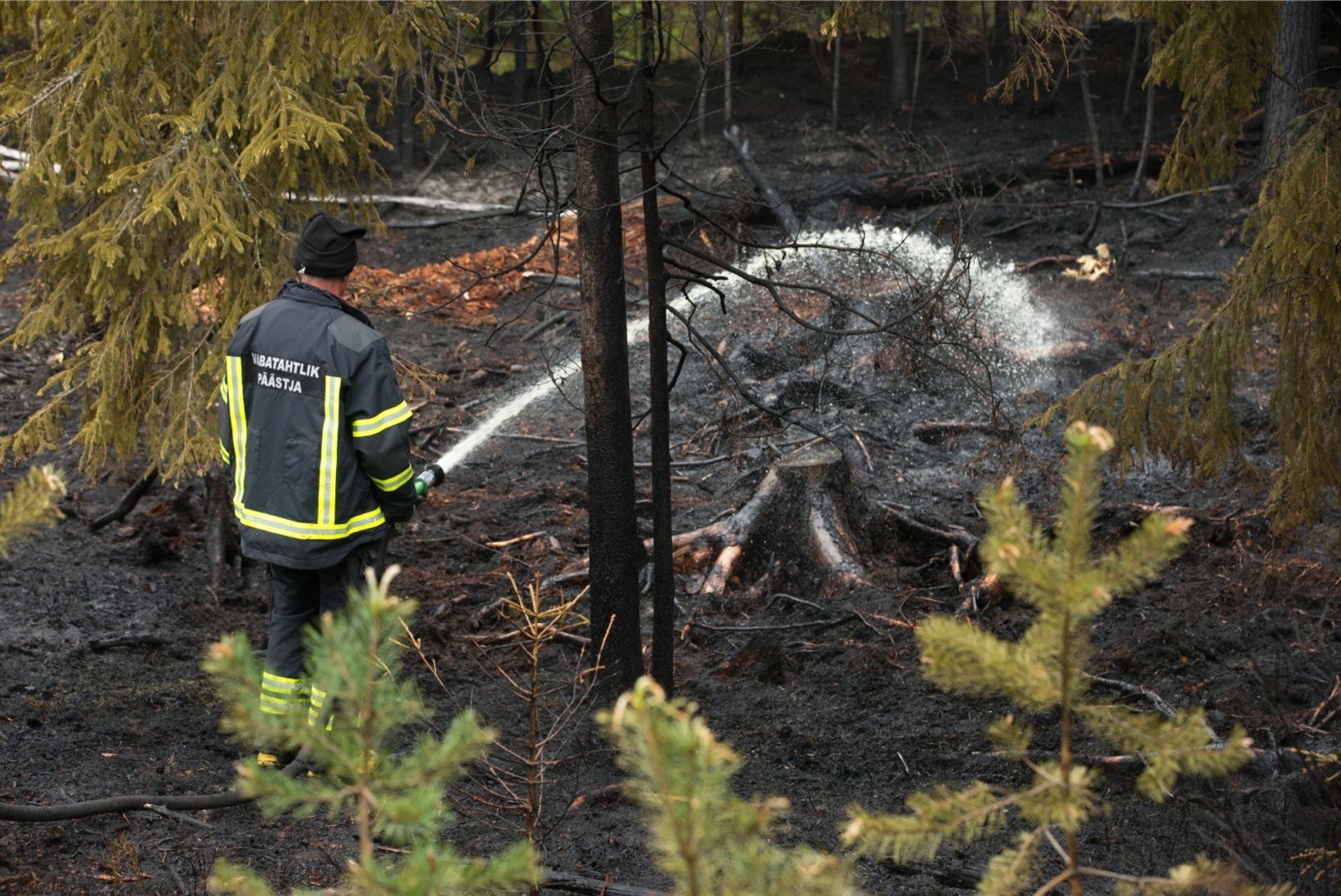 Päästjad kustutavad Narva-Jõesuus kahes kohas metsa