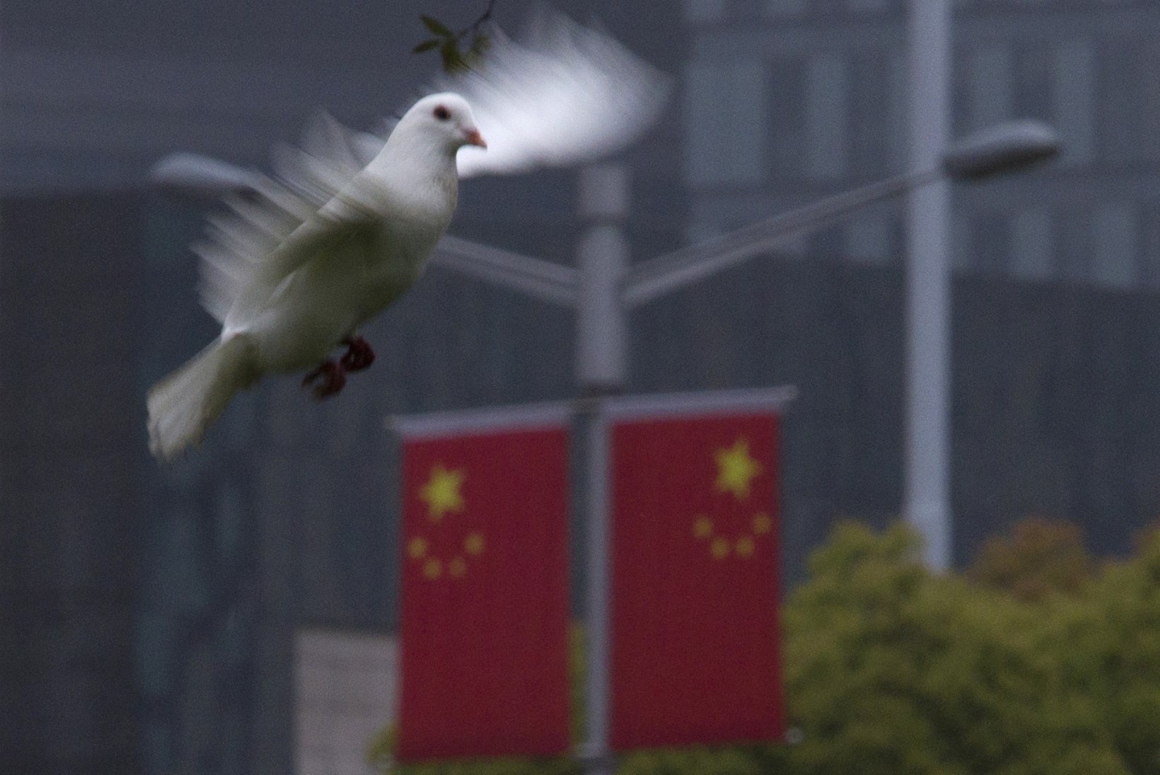 SUUR VEND NÄEB: Hiina jälgib oma kodanikke kõrgtehnoloogiliste droon-lindudega
