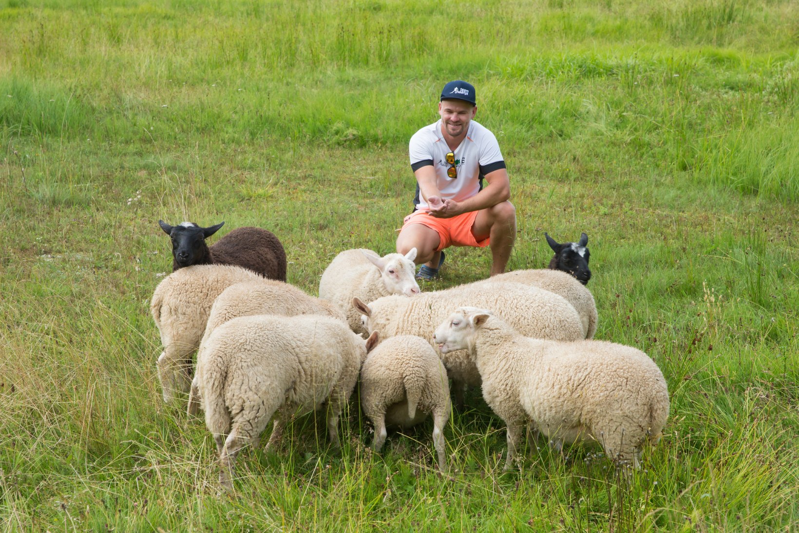 Suusatreener Saarepuu sõbrustab suviti lammastega