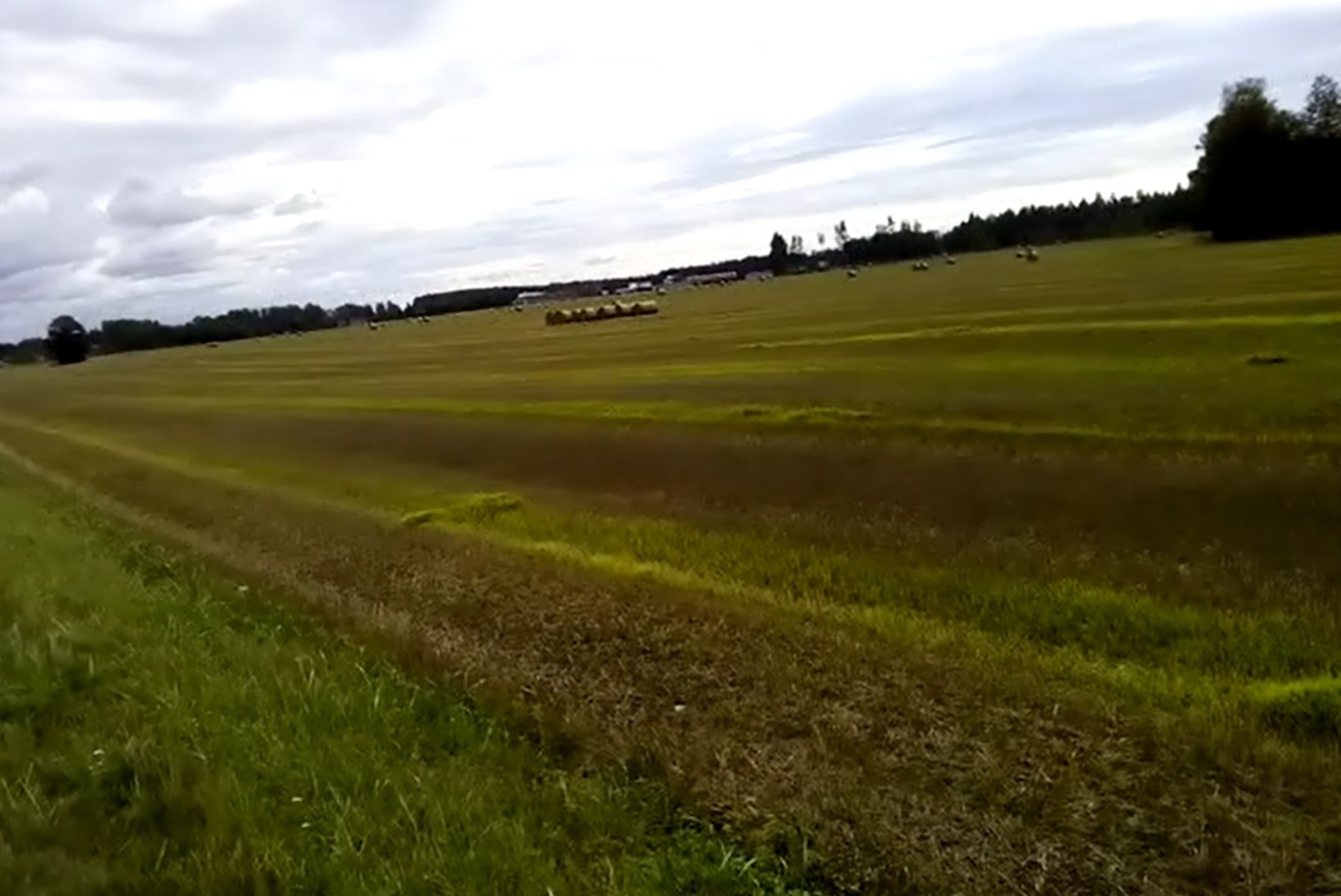 VIDEO | Lugeja pahandab: põllumehed ei oska enam vilja koristada!