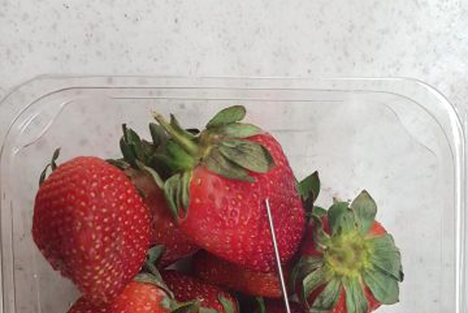 VIDEO | Austraalia maasikakasvatajad peavad ära viskama tonnide kaupa maasikaid