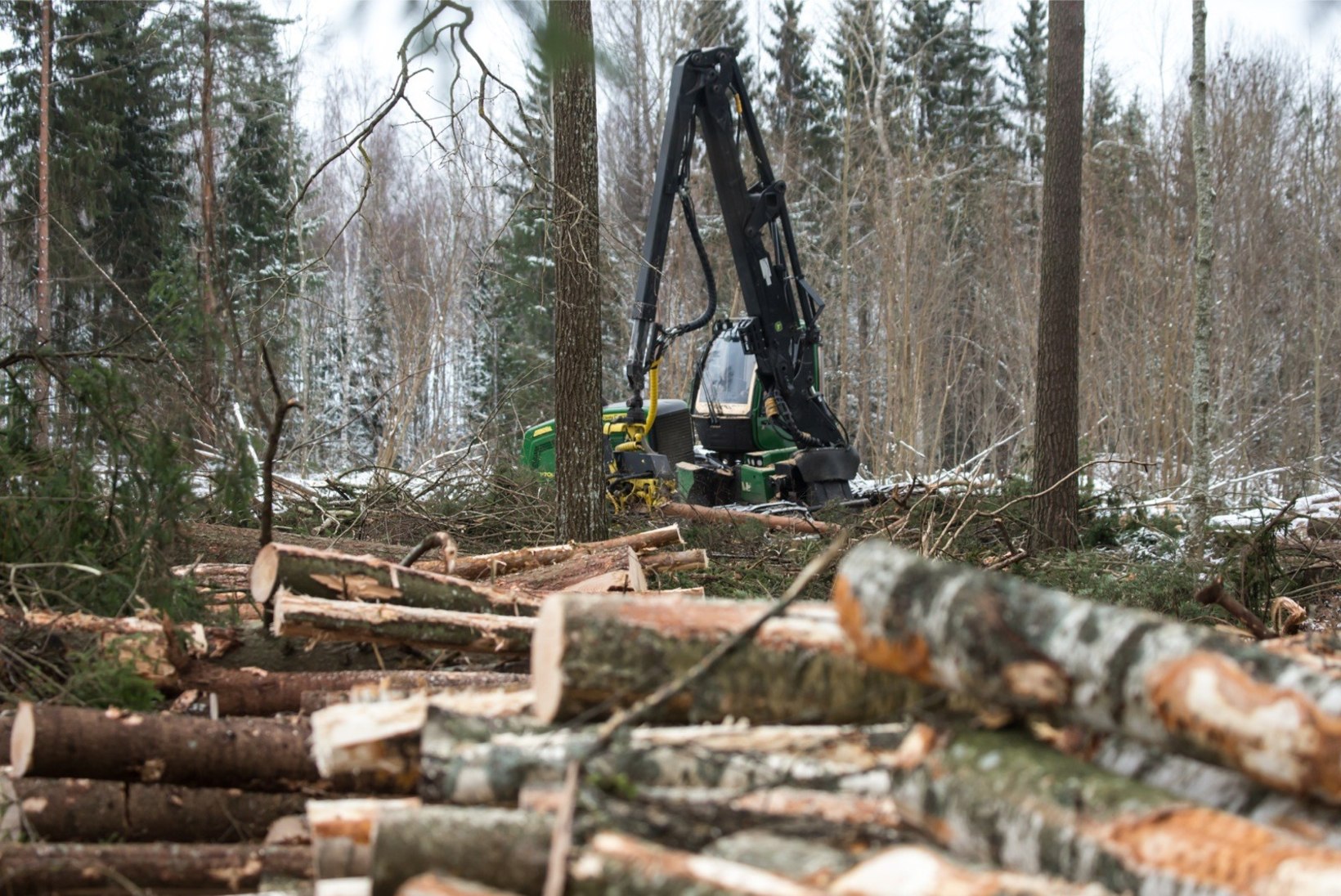 Suurfirma Stora Enso juht: puidutööstus on tänapäeval üks kõige rohelisem ja puhtam tööstus üldse